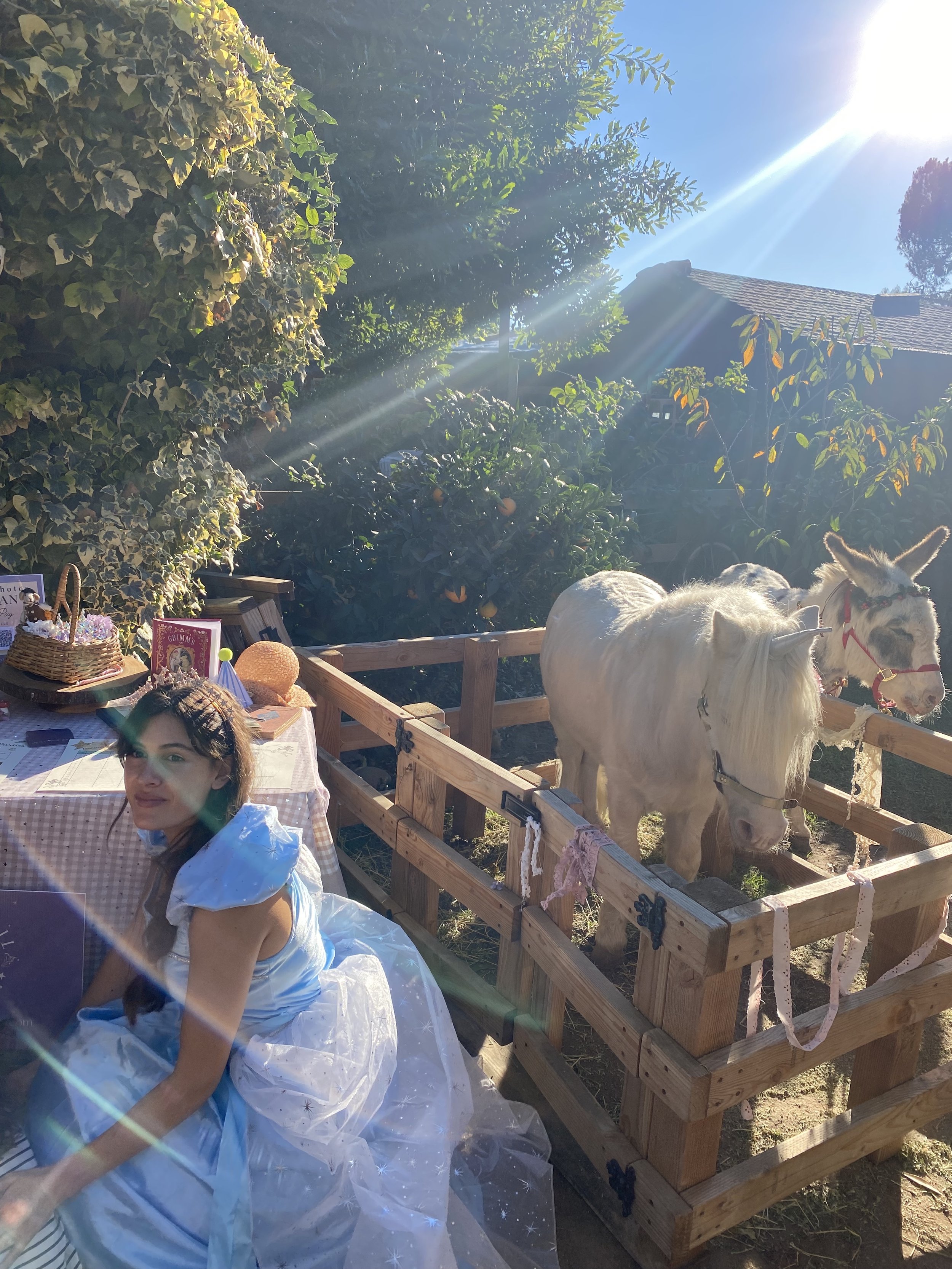 fairytail photos 10.jpg