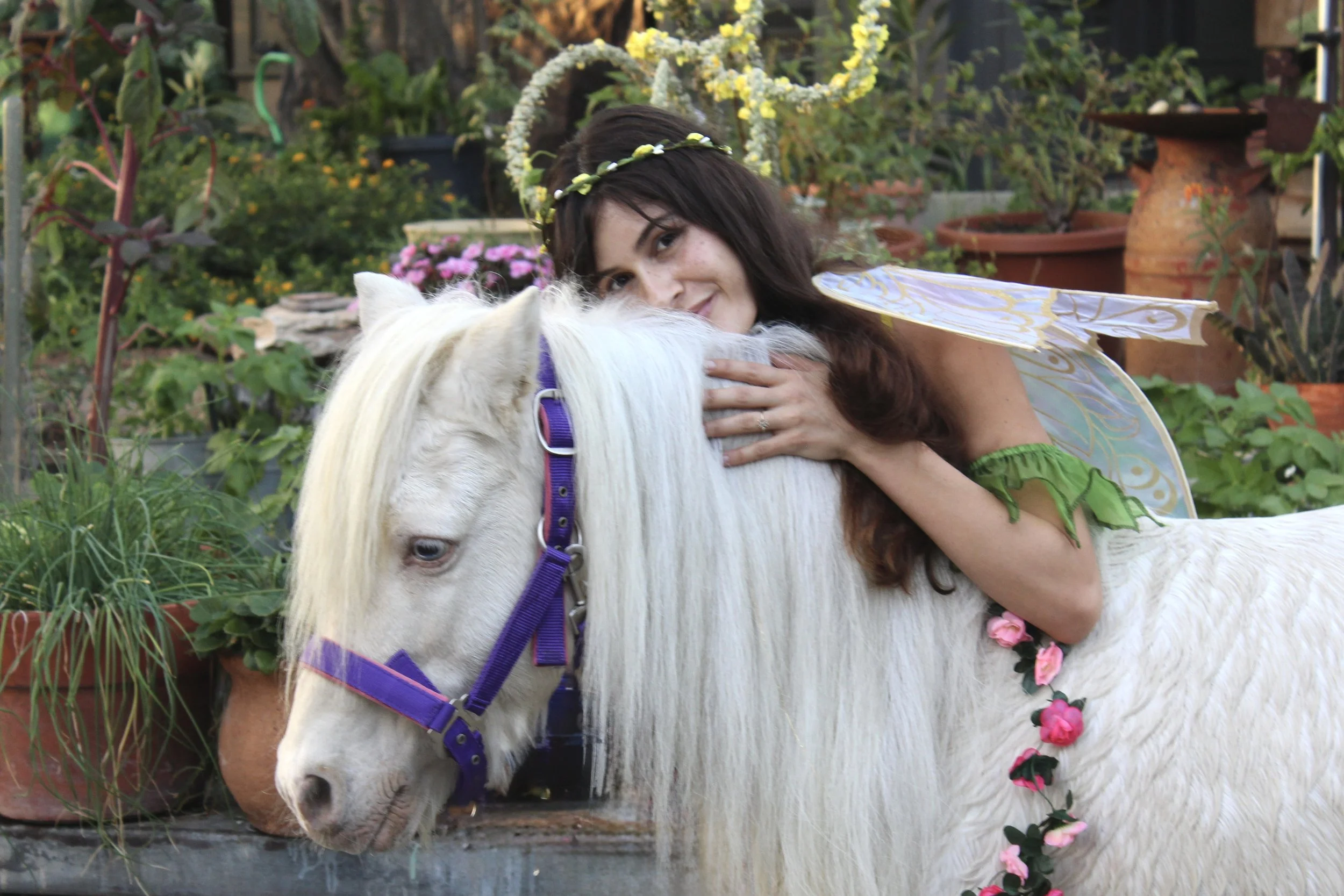 FairyTail Pony Party