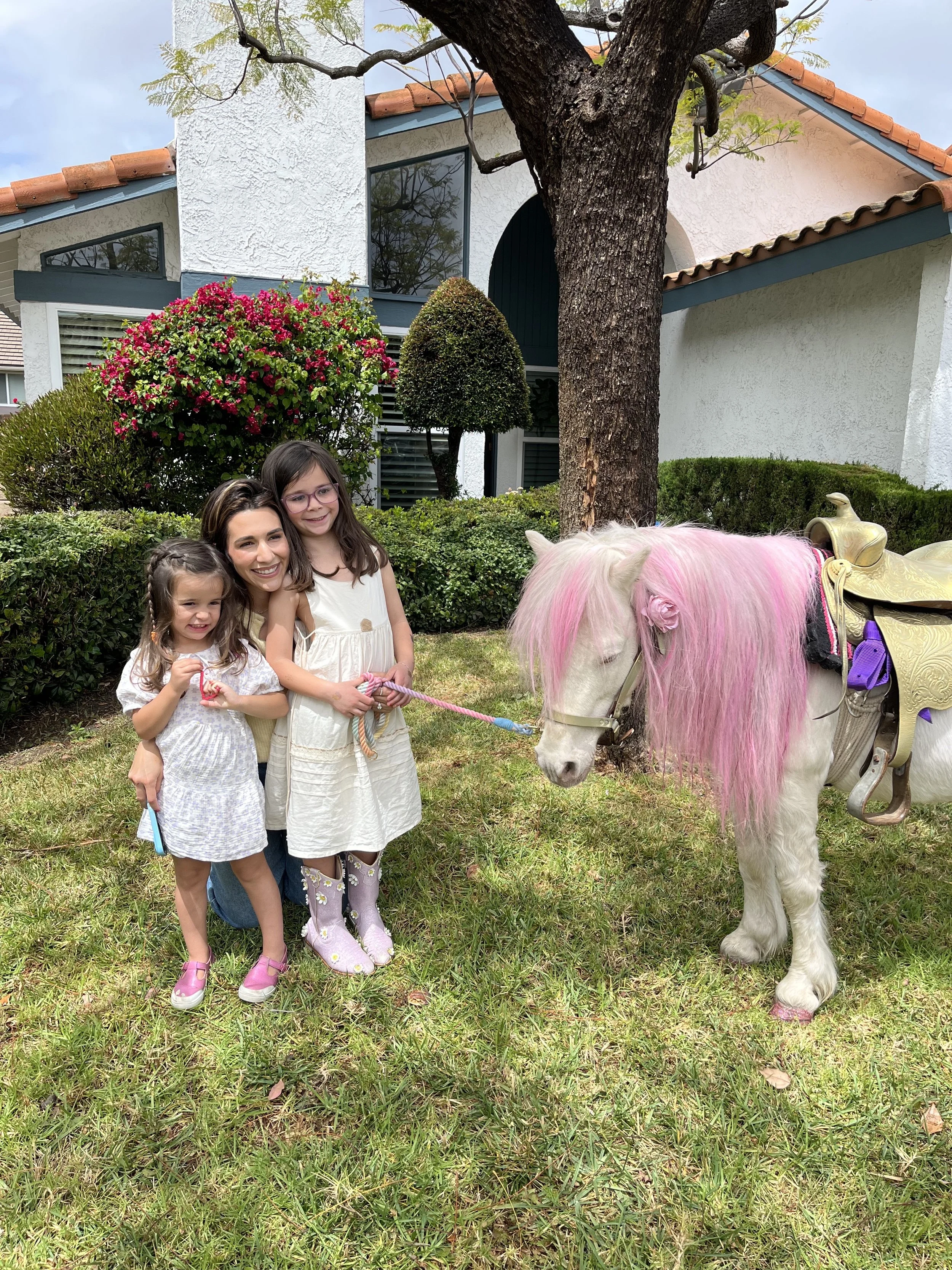 fairytail photos 2.jpg