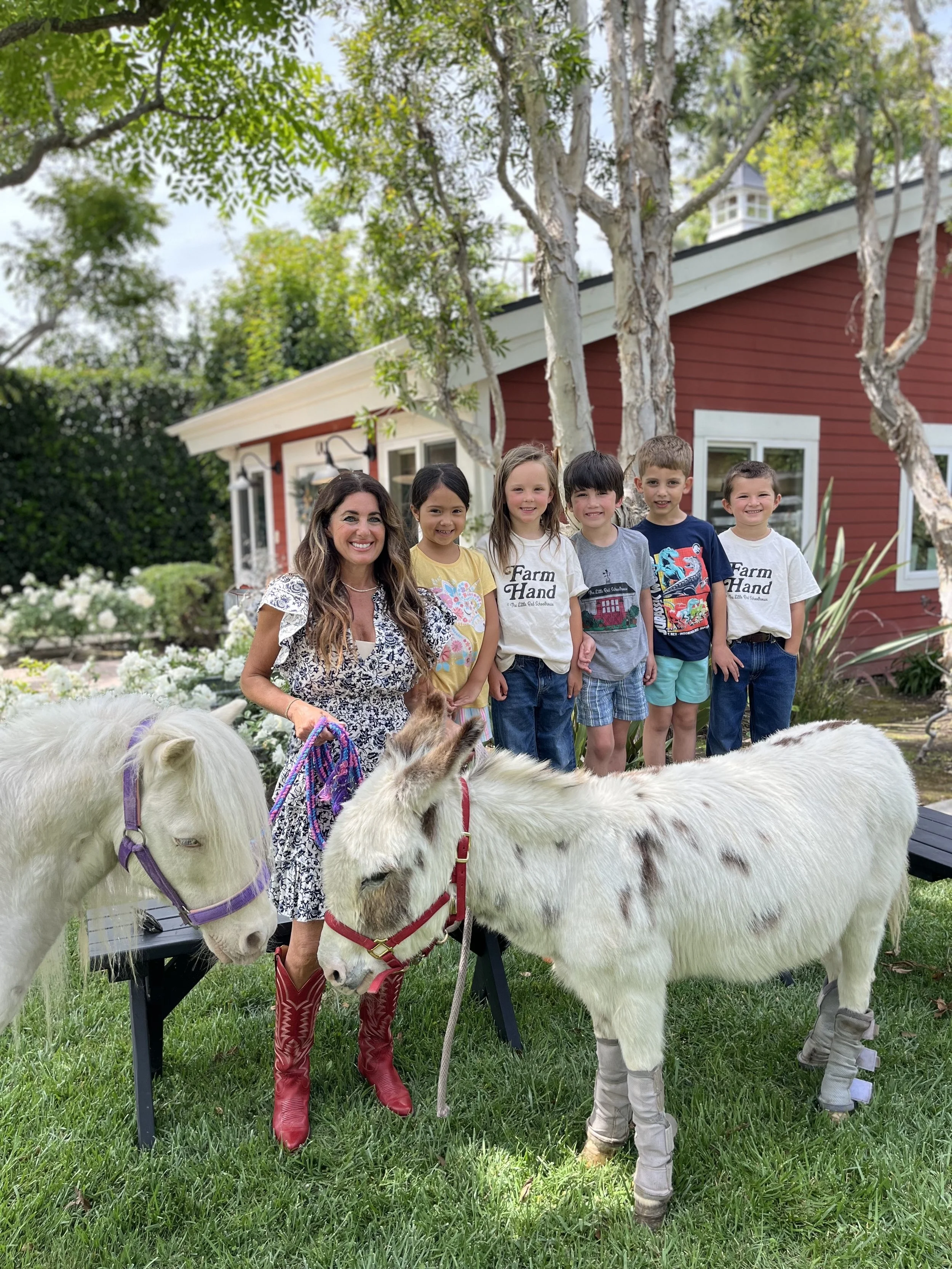 fairytail photos 3.jpg