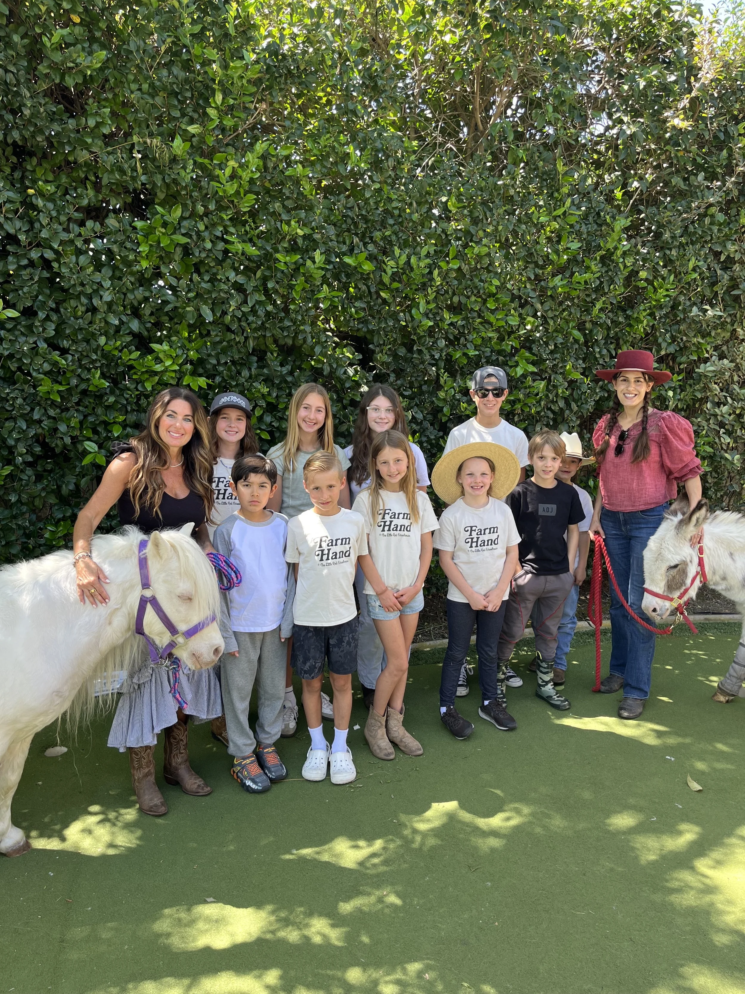 fairytail pony parties 9.jpg