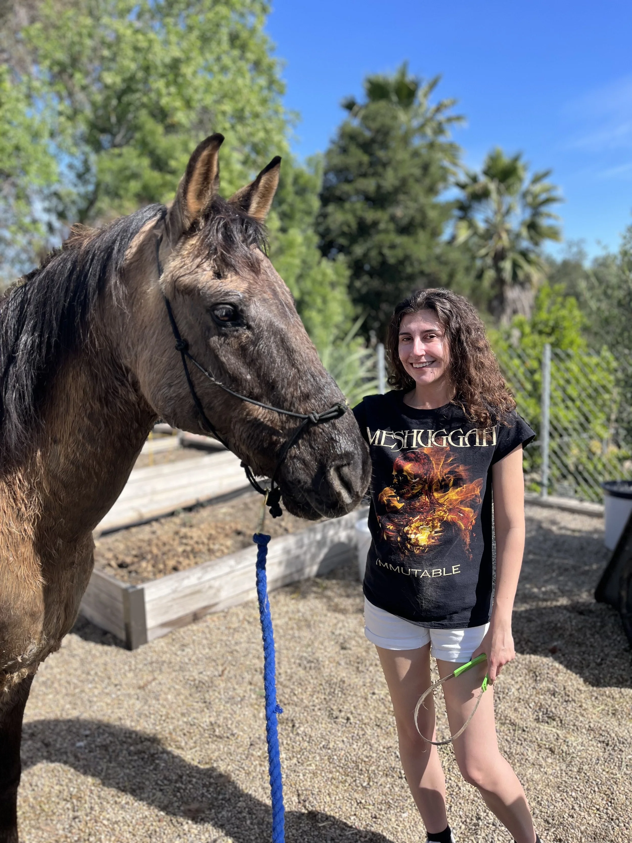 fairytail pony parties 7.jpg