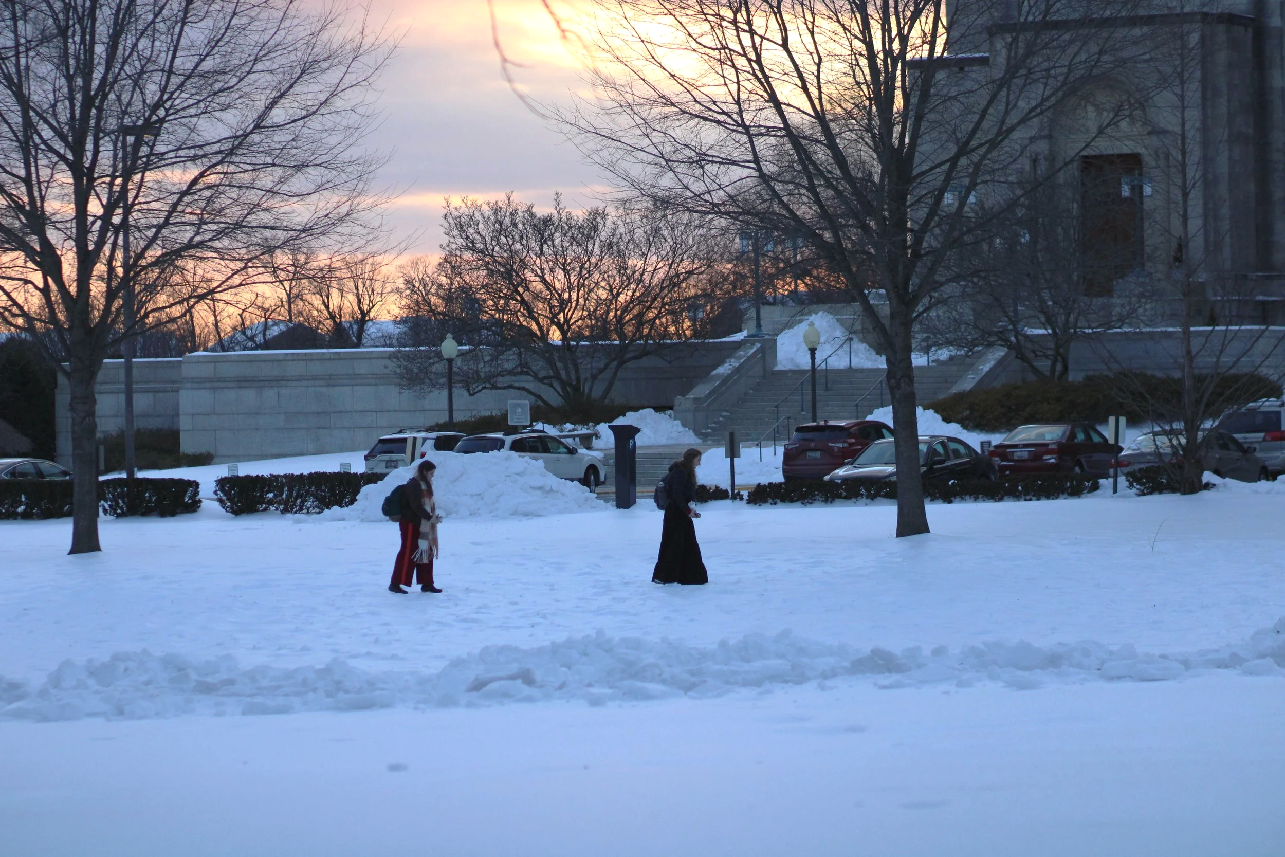 1/2026 - Basilica Lawn