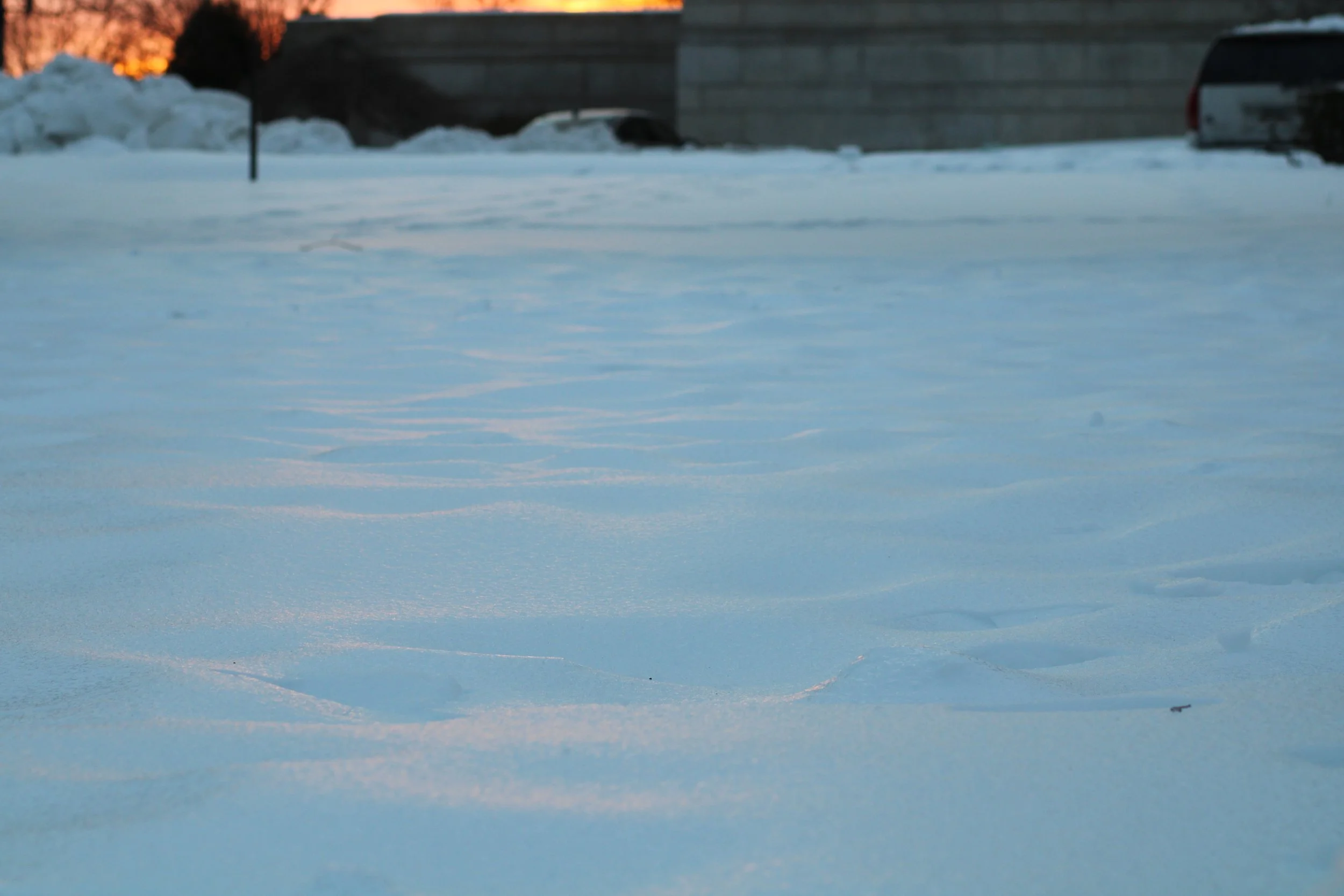 1/2026 - Basilica Lawn