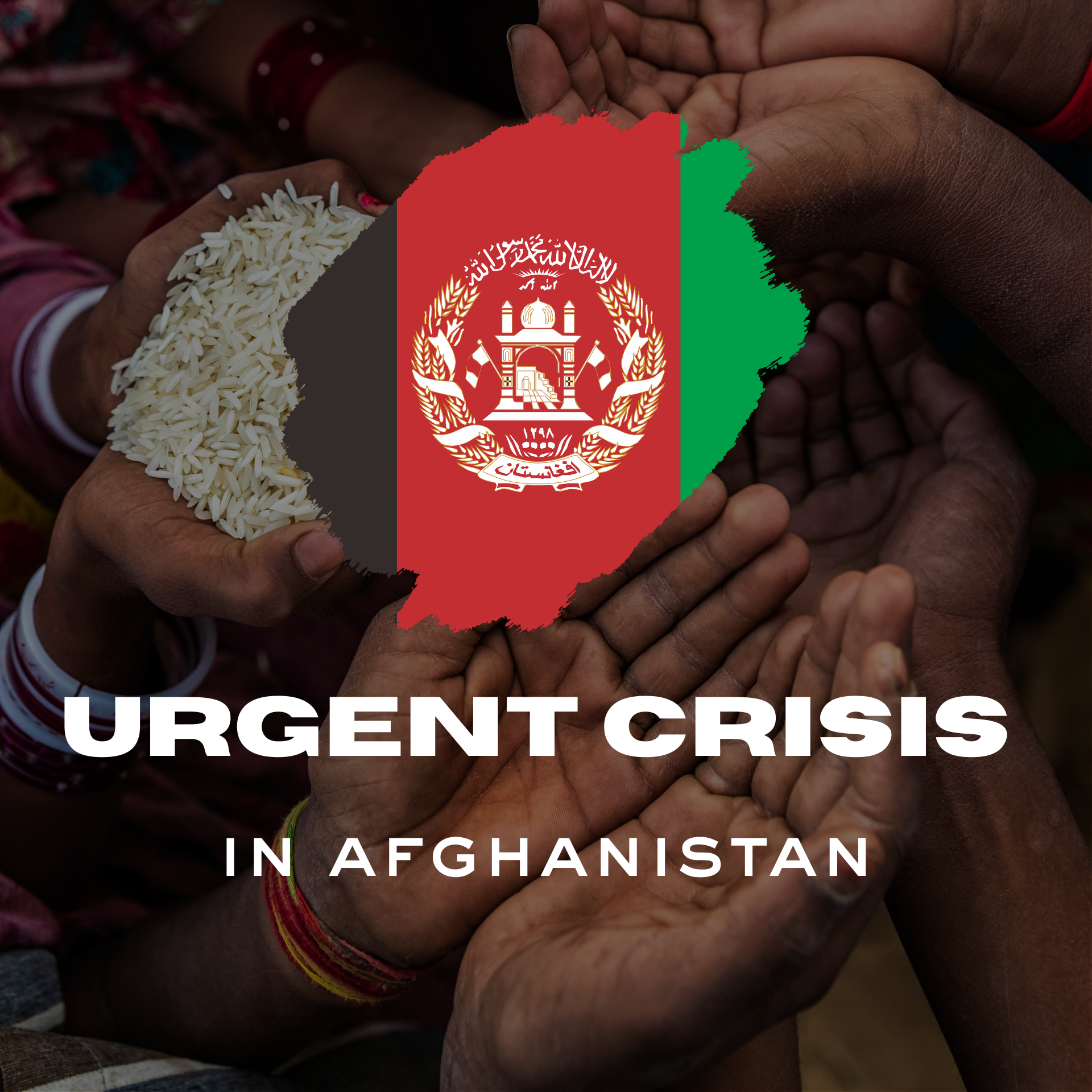 Afghanistan Faces Escalating Winter Hunger Crisis as Aid Funding Falls Short
