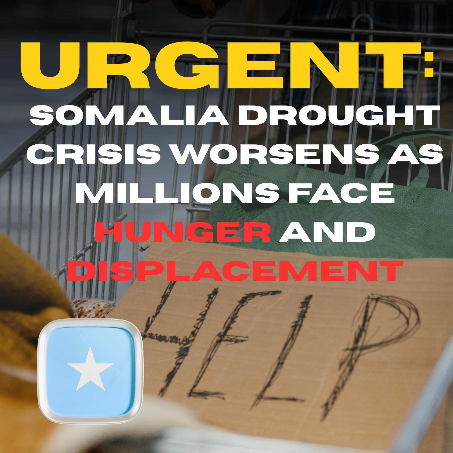 Somalia’s Deepening Drought Pushes Millions Toward Food and Water Insecurity