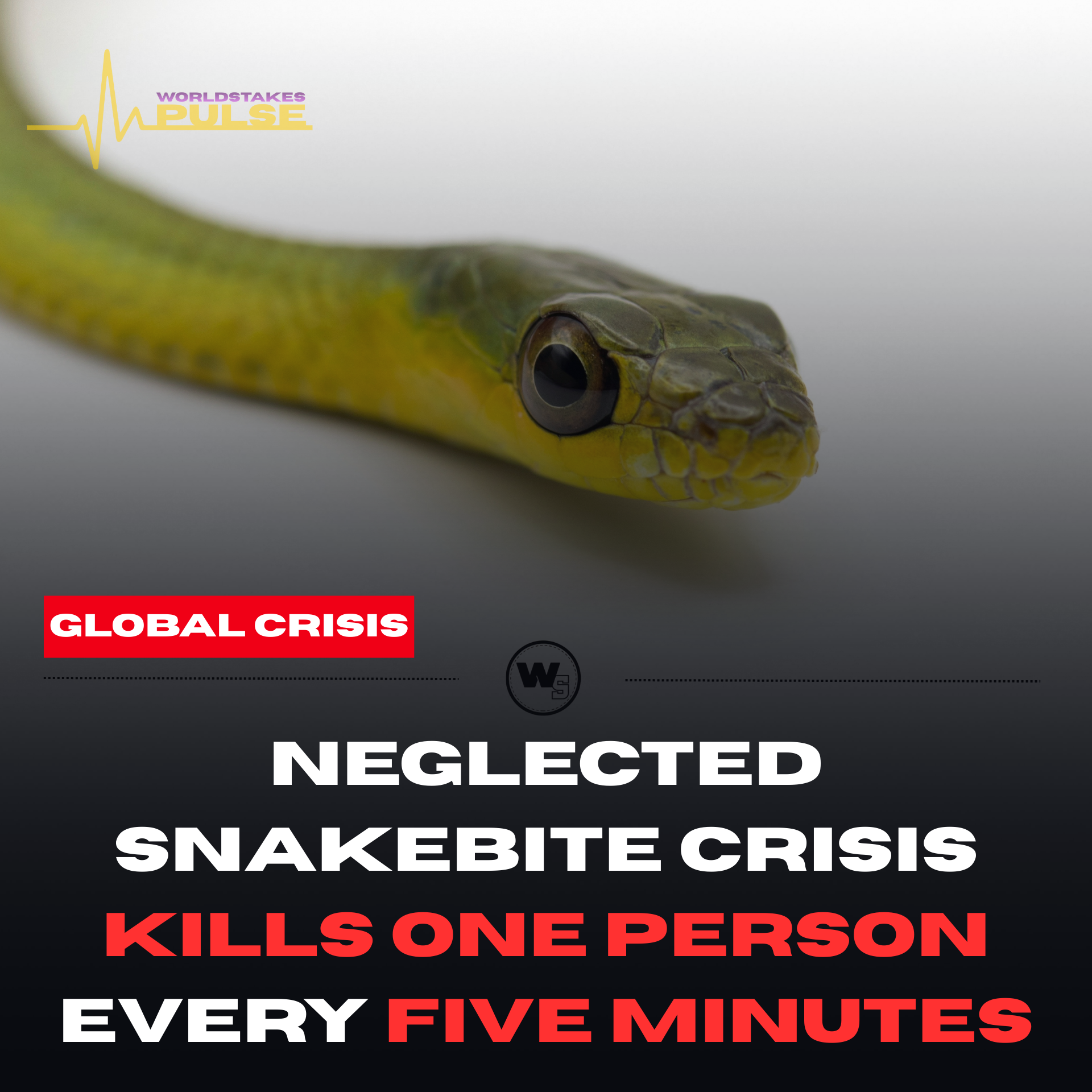 A Silent Killer: The Global Snakebite Crisis Demands Urgent Attention