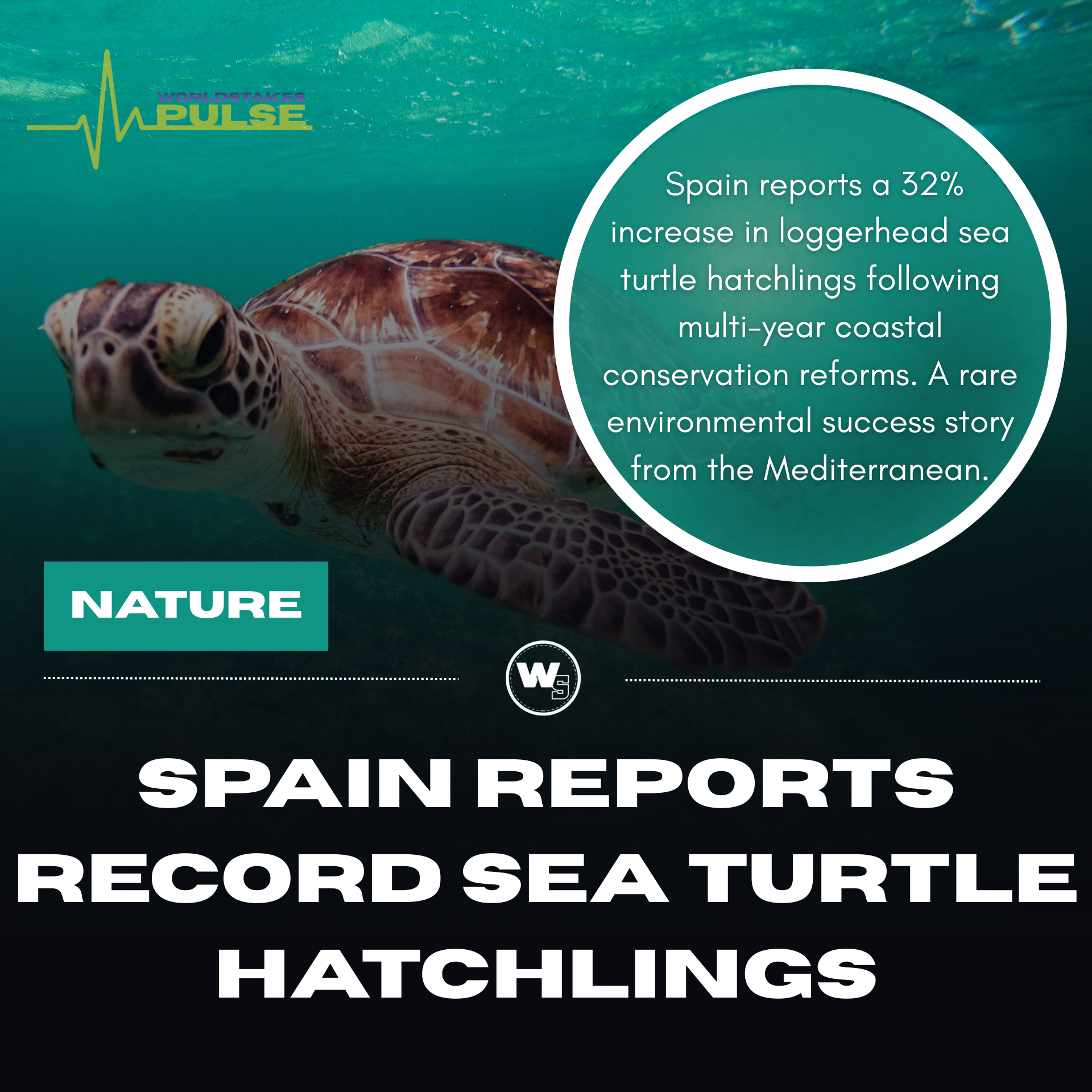 A Quiet Win for the Mediterranean