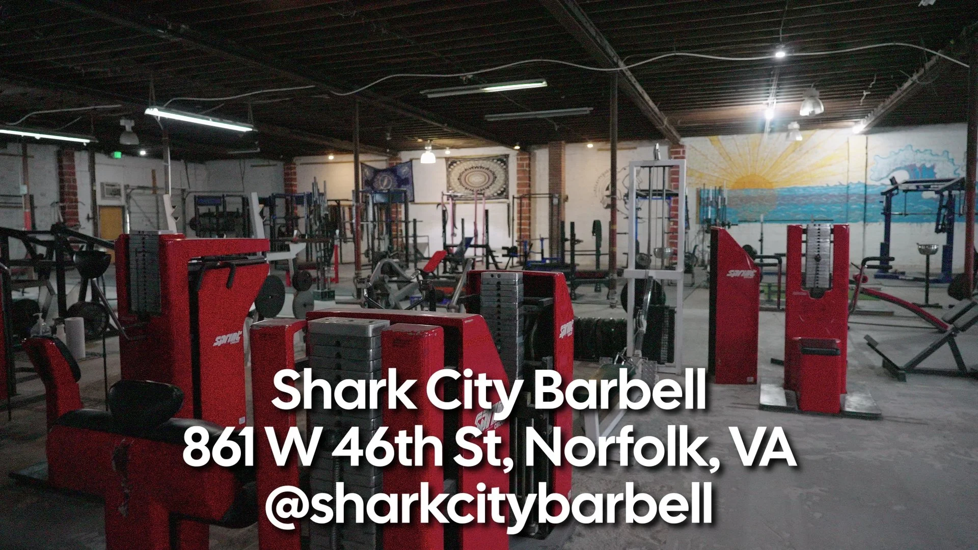 Shark City Barbell