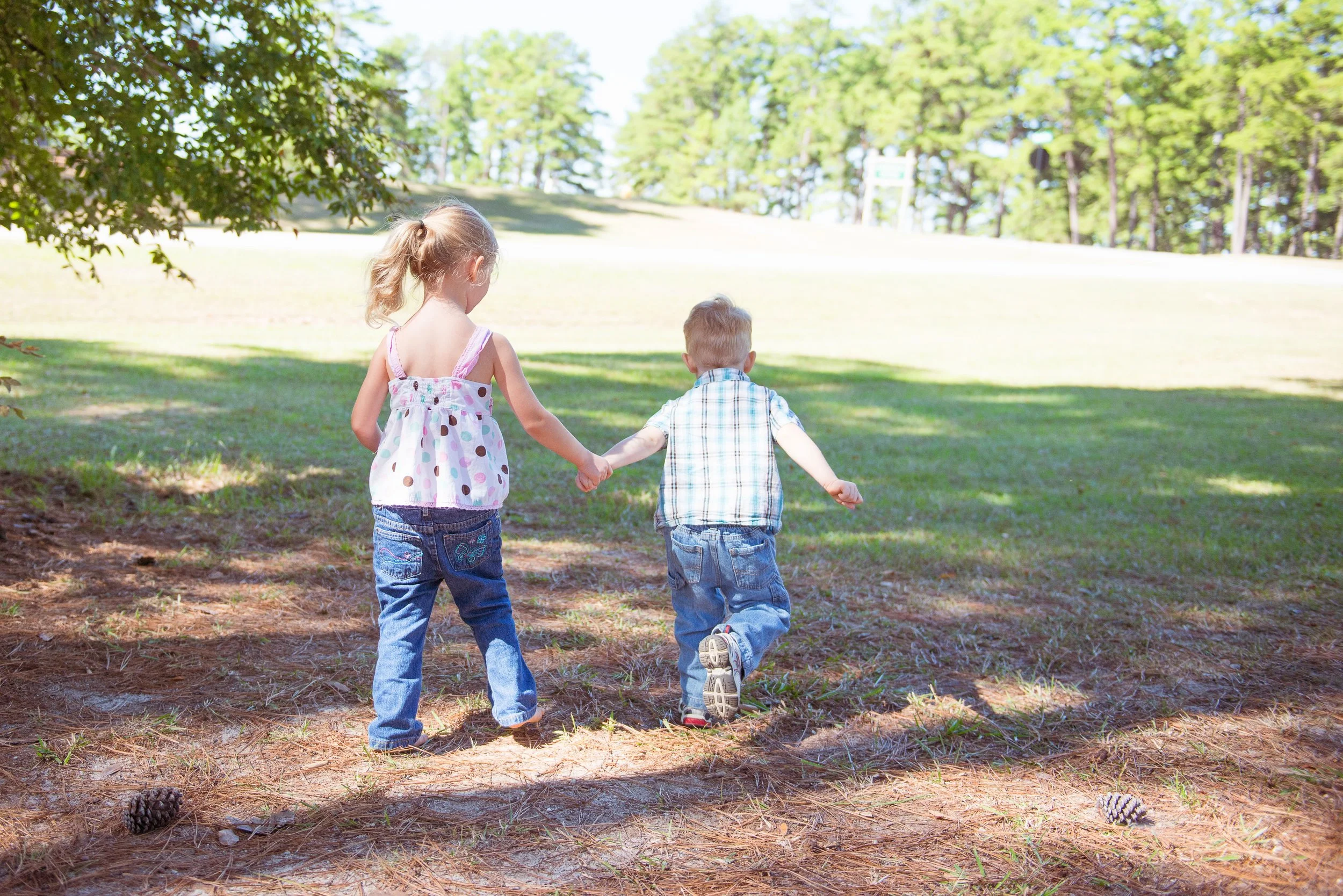 Two young children hold hands and head toward a bright, open meadow — a fitting image for the kind of play-led, whole-child care at the heart of Play to Say Therapy.
