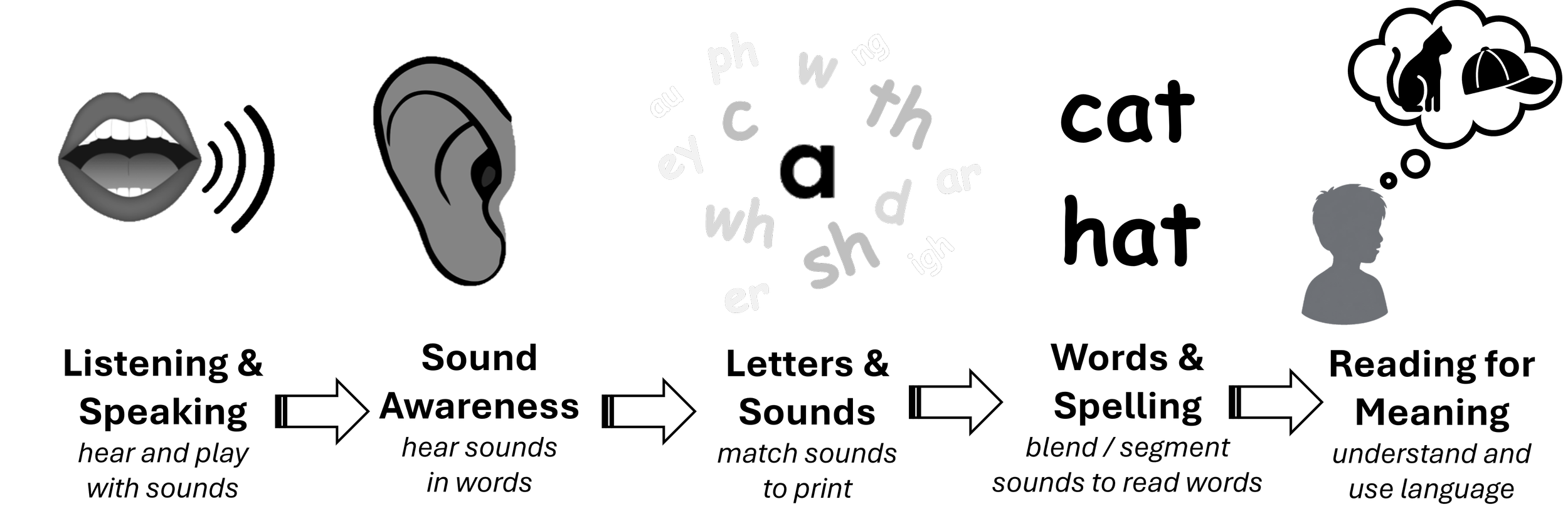 Diagram showing how speech and language connect to reading: listening and speaking leads to sound awareness, letters and sounds, words and spelling, then reading for meaning
