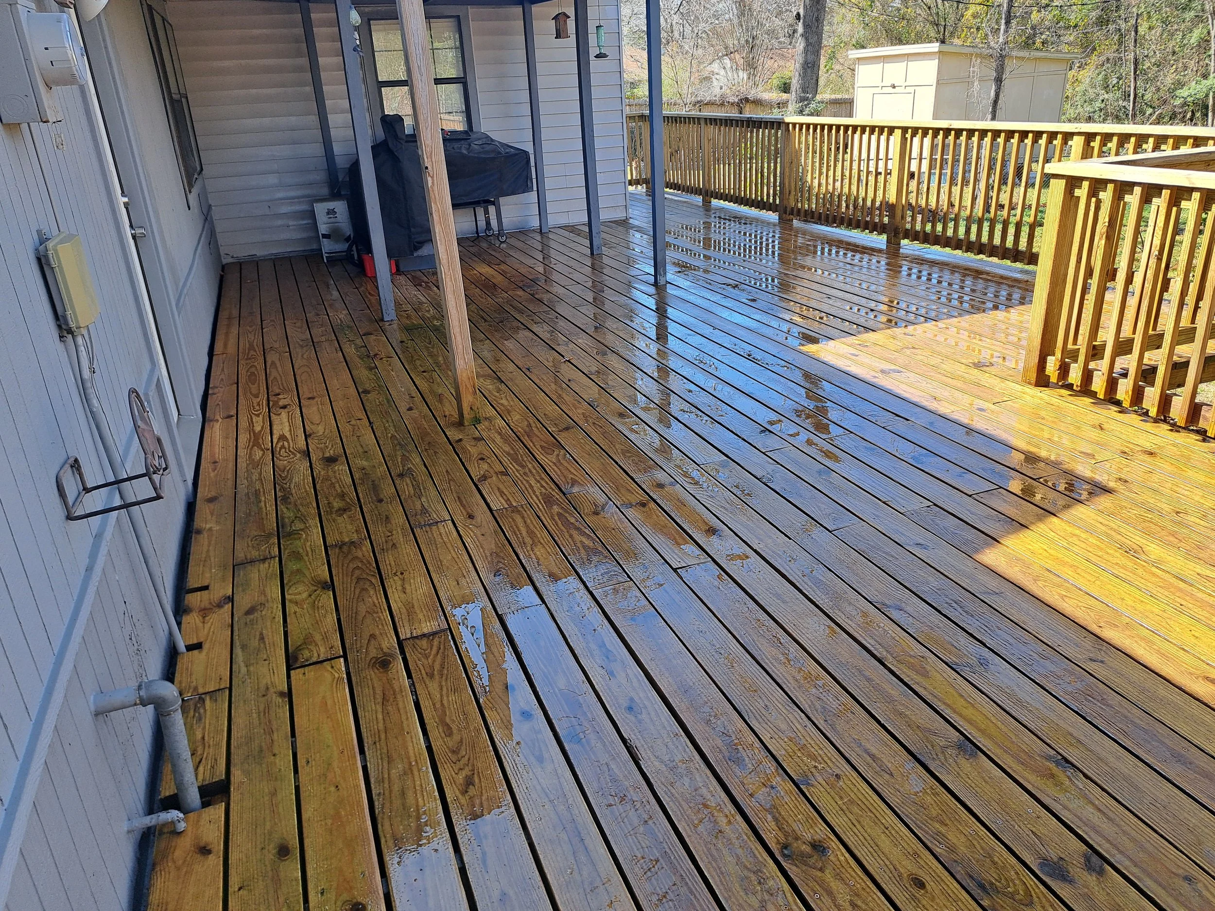 Wet wooden porch deck with a railing, part of a house with vinyl siding, and a backyard scene with trees and a shed in the background.