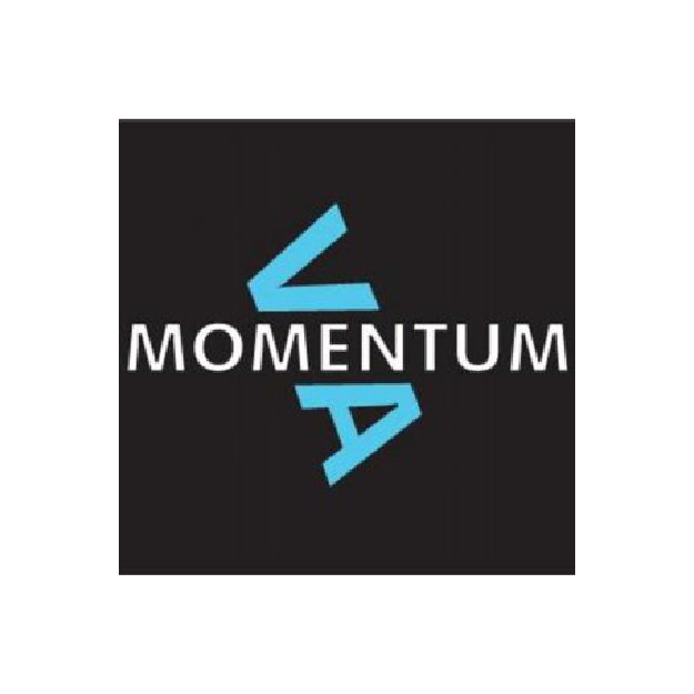 VA-Momentum-Red-Wing-Academy-Sponsor-Logos.png