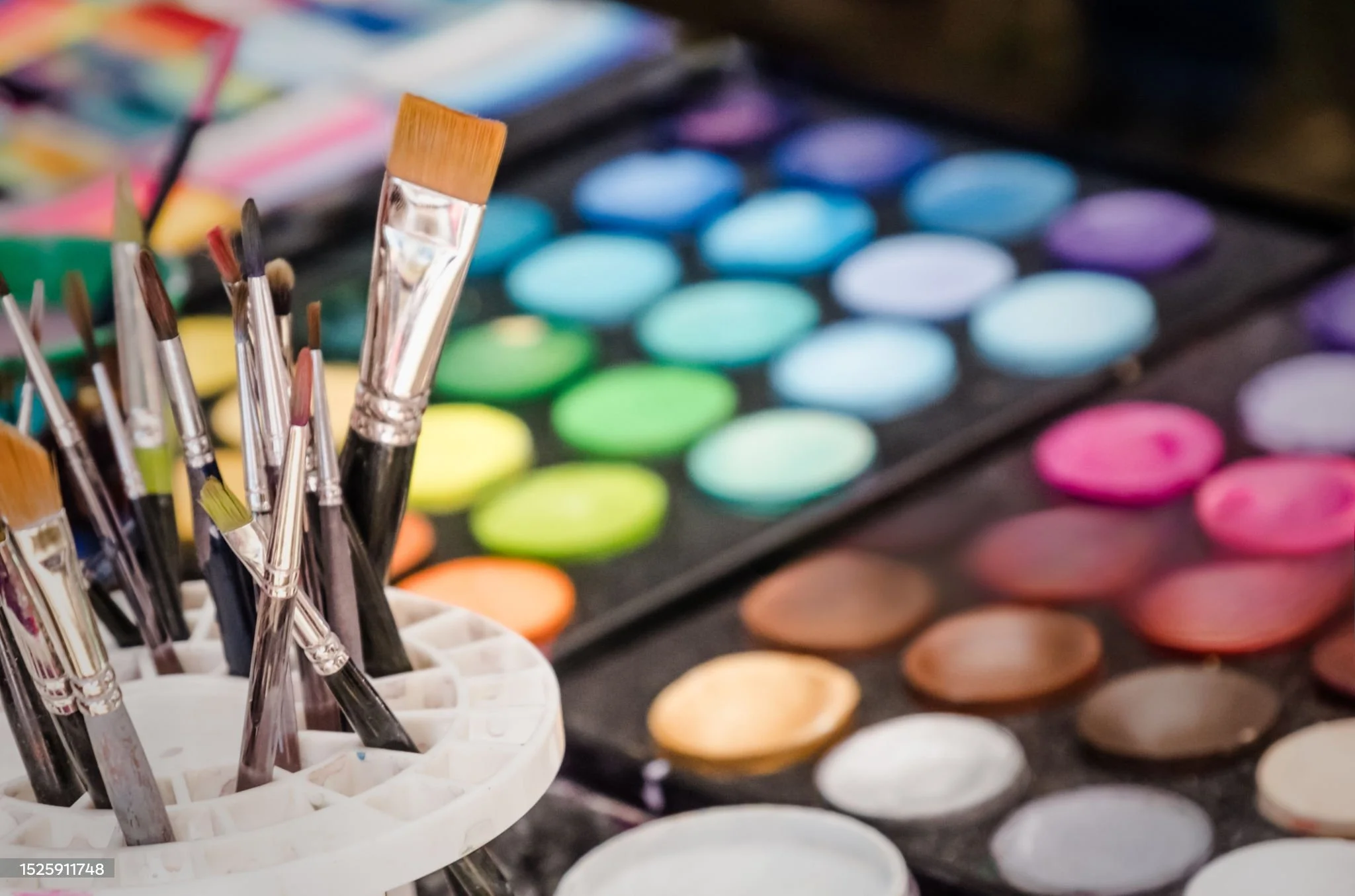 Face Painting and brushes in Eugene, Oregon and Lane County