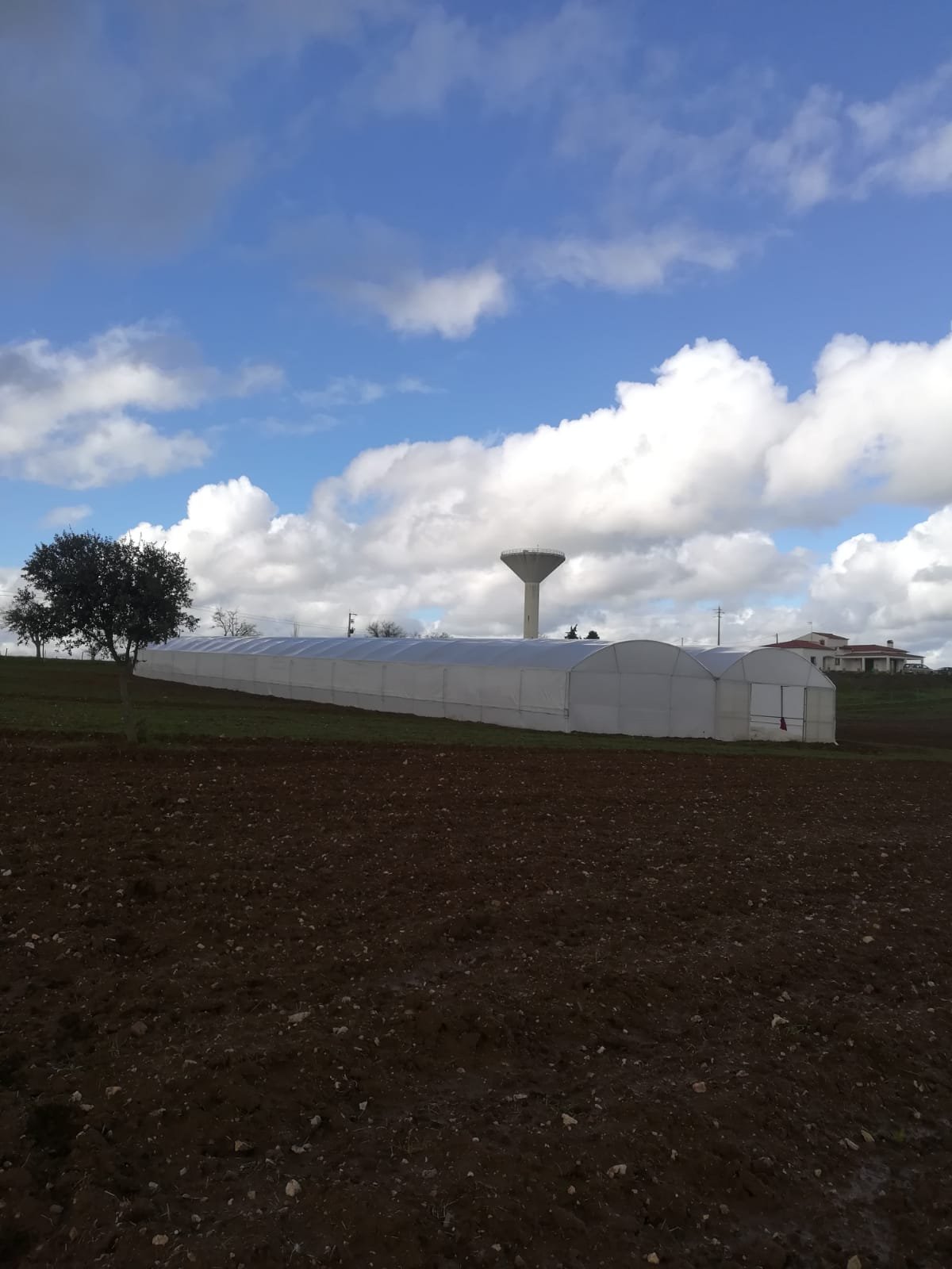 A greenhouse on a hill with a tree on the left, a water tower in the background, and a partly cloudy sky.