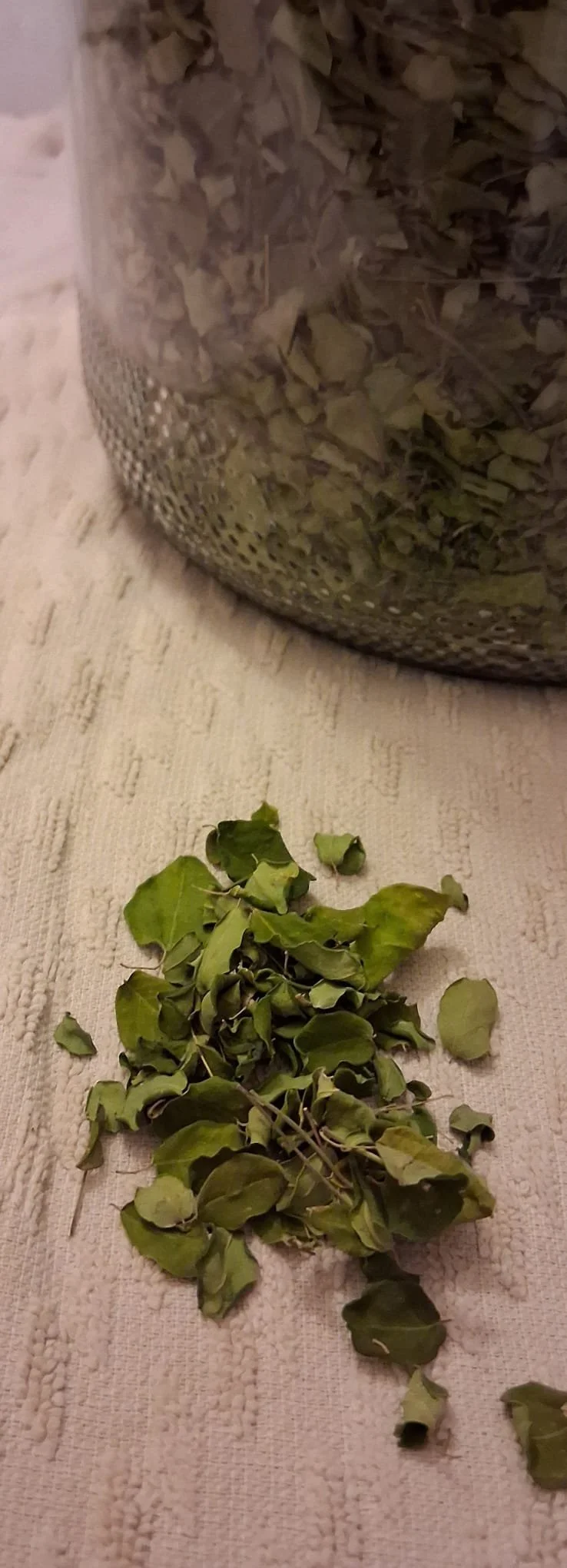 WhatsApp Image 2026-02-18 at 19.46.08.jpeg