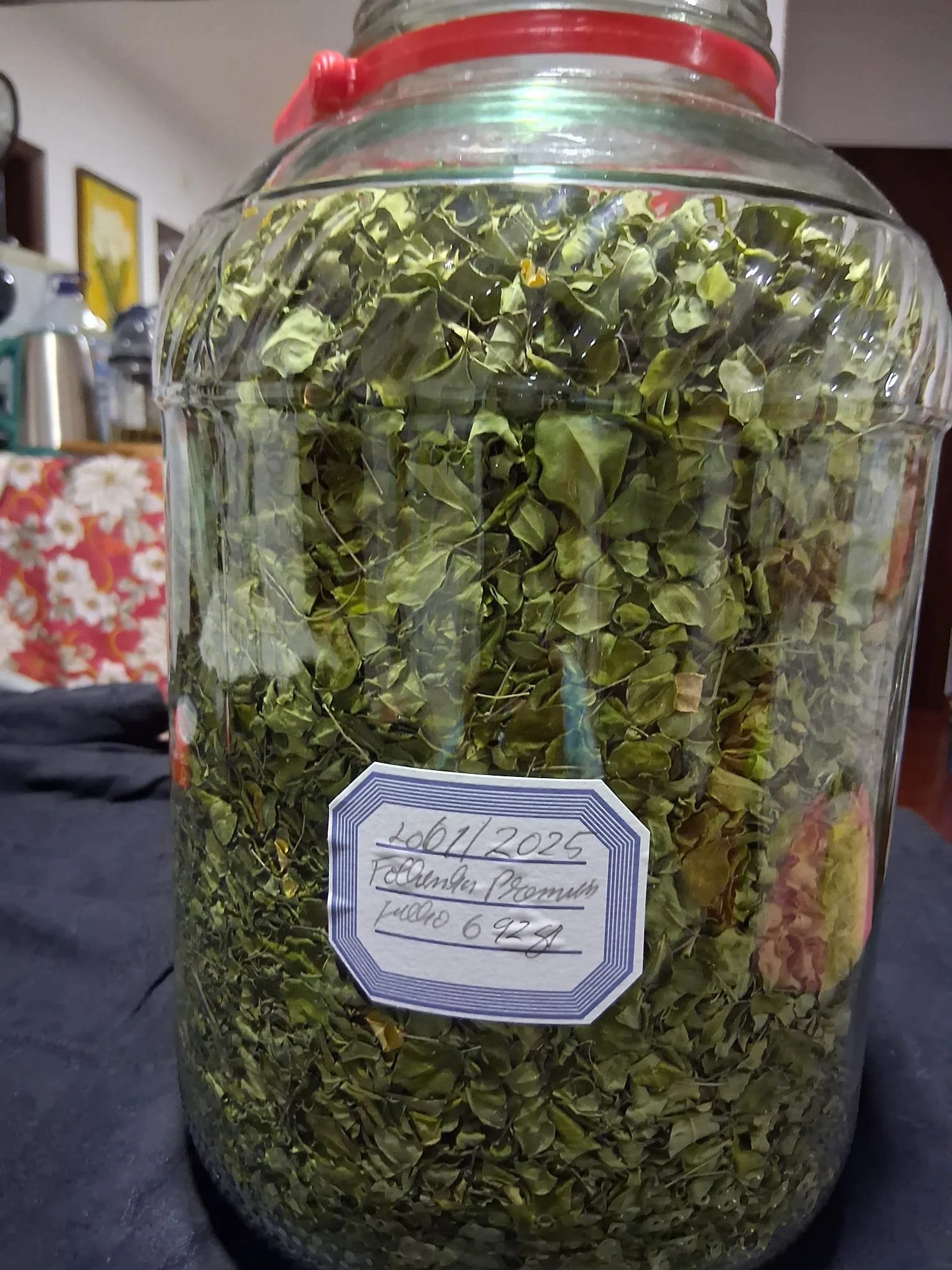 Dr. Dulce's Handpicked Moringa Leaves (50g)