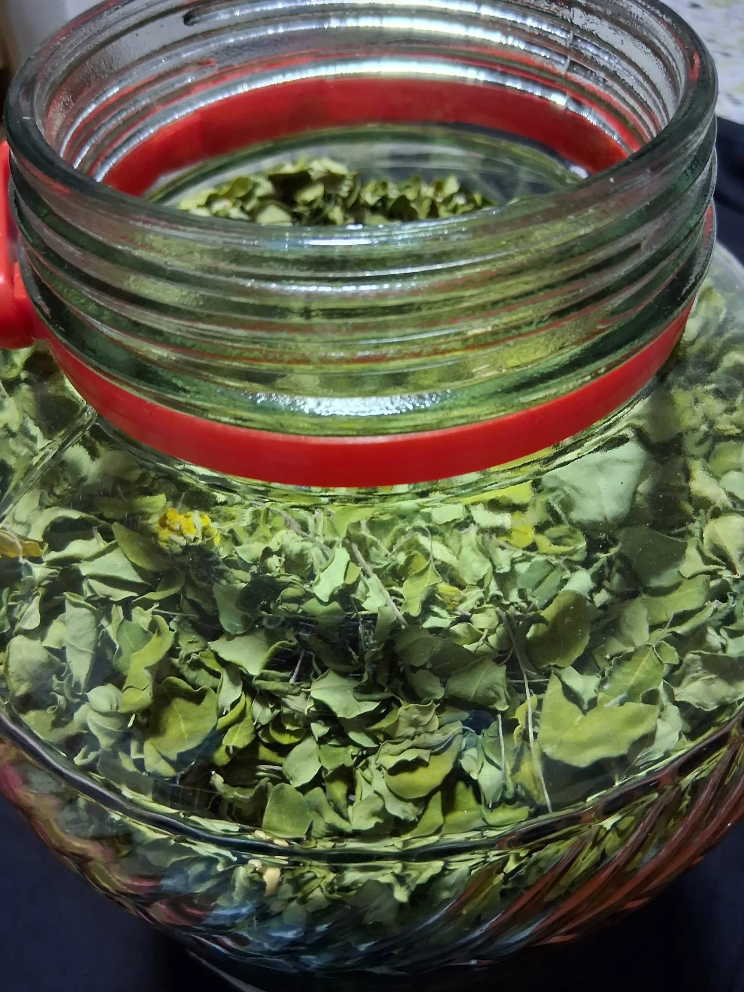 WhatsApp Image 2026-02-18 at 19.52.00.jpeg