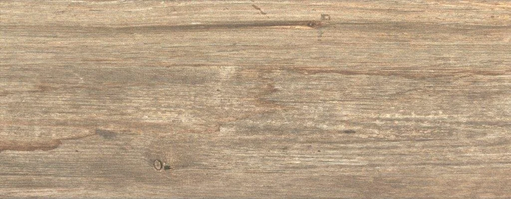 Natural Driftwood