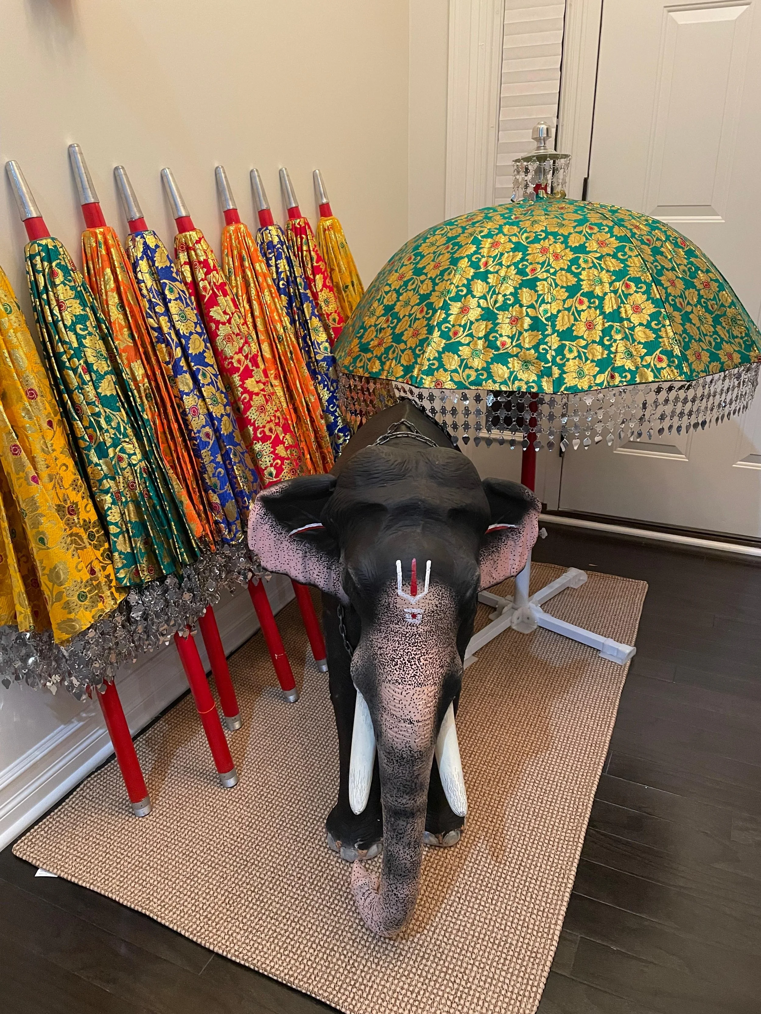 Koda and Elephant.jpeg