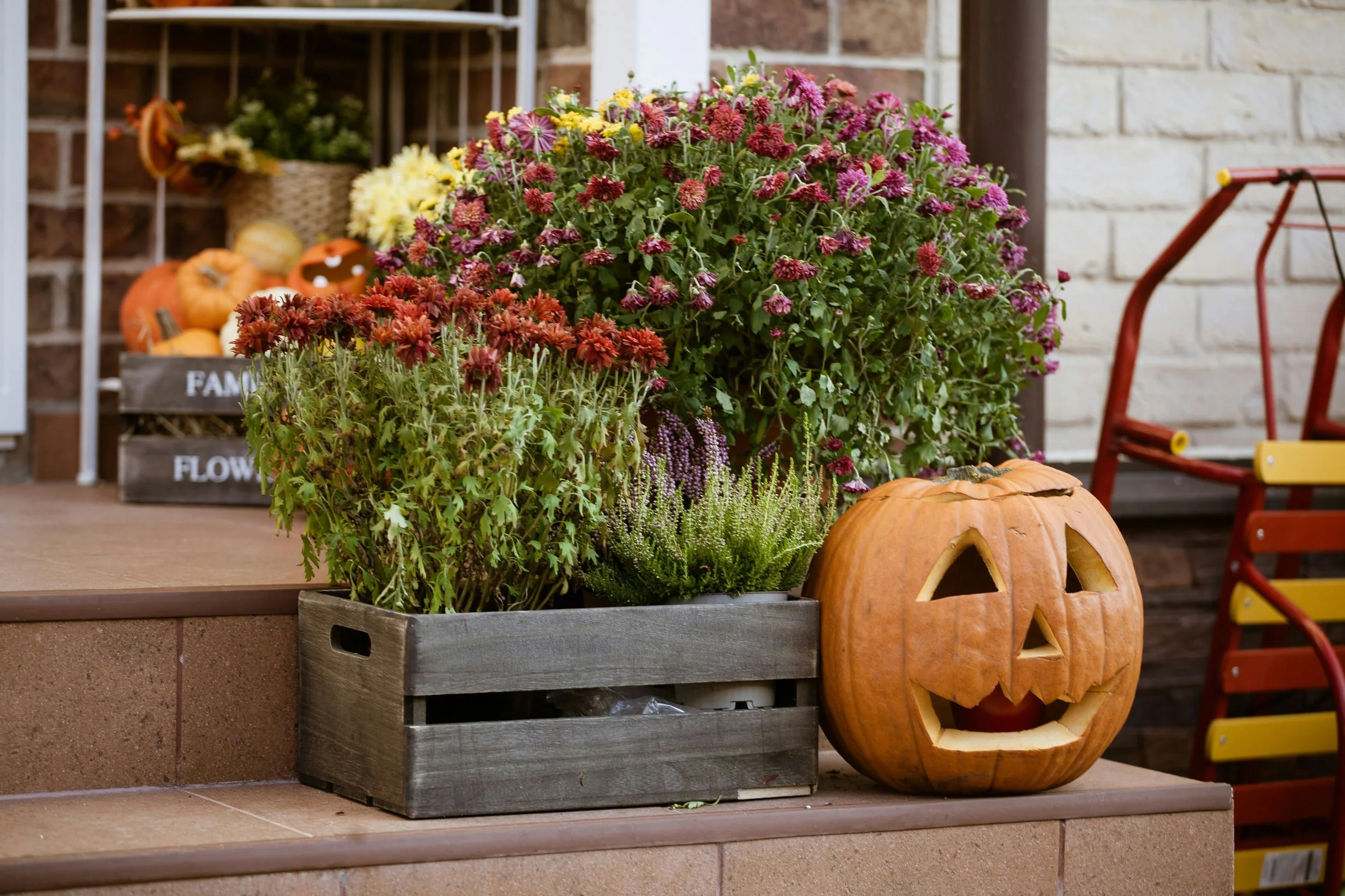 Harvesting Home Value: Quick Fall Updates That Pay Off