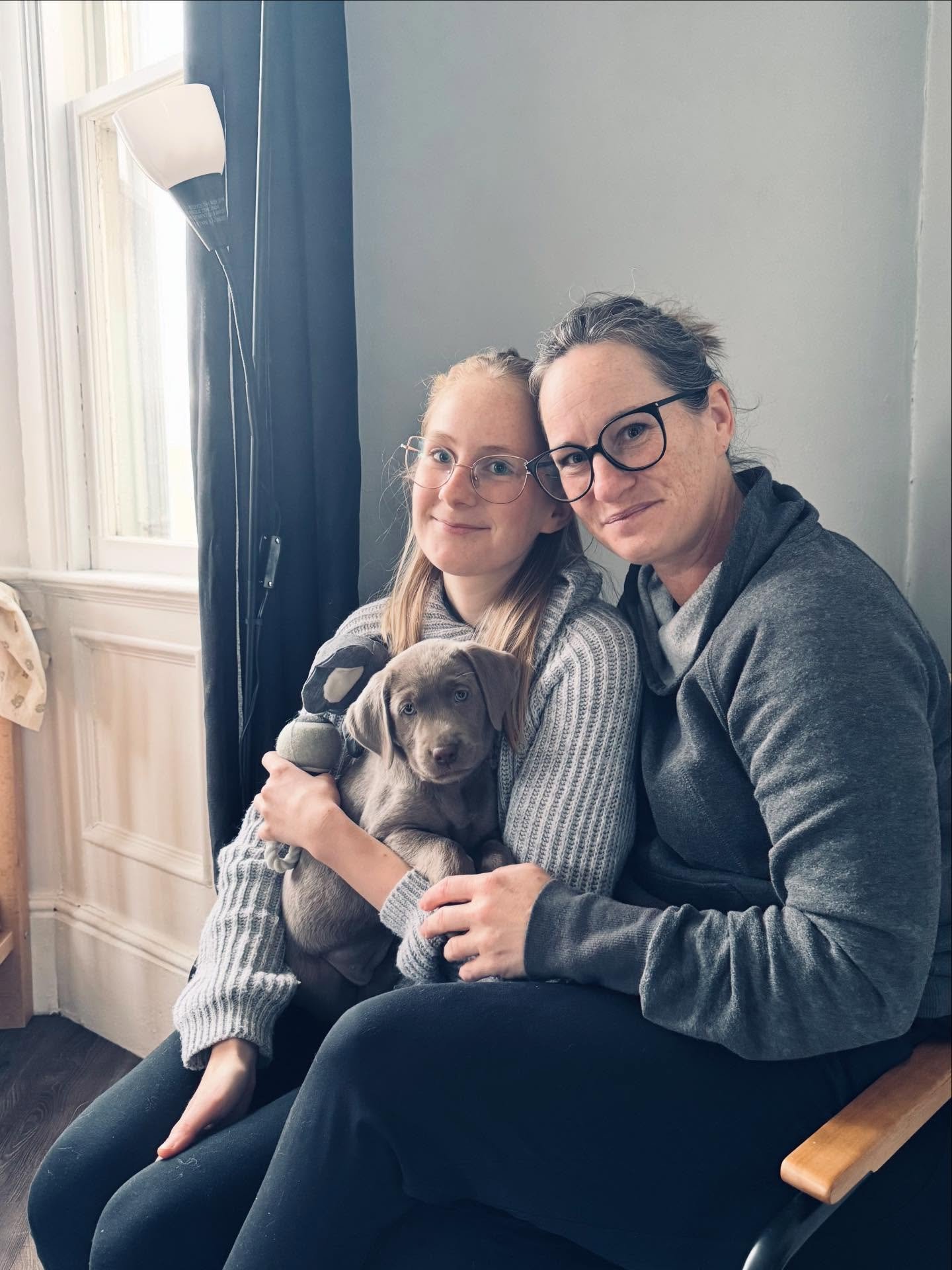 Maple is pictured here with her new family - they&rsquo;re all heading home to Sweden together! 🤍🐾🇸🇪
#specialmoment #labradorretrievers #labs #silverlabradors #labpuppies