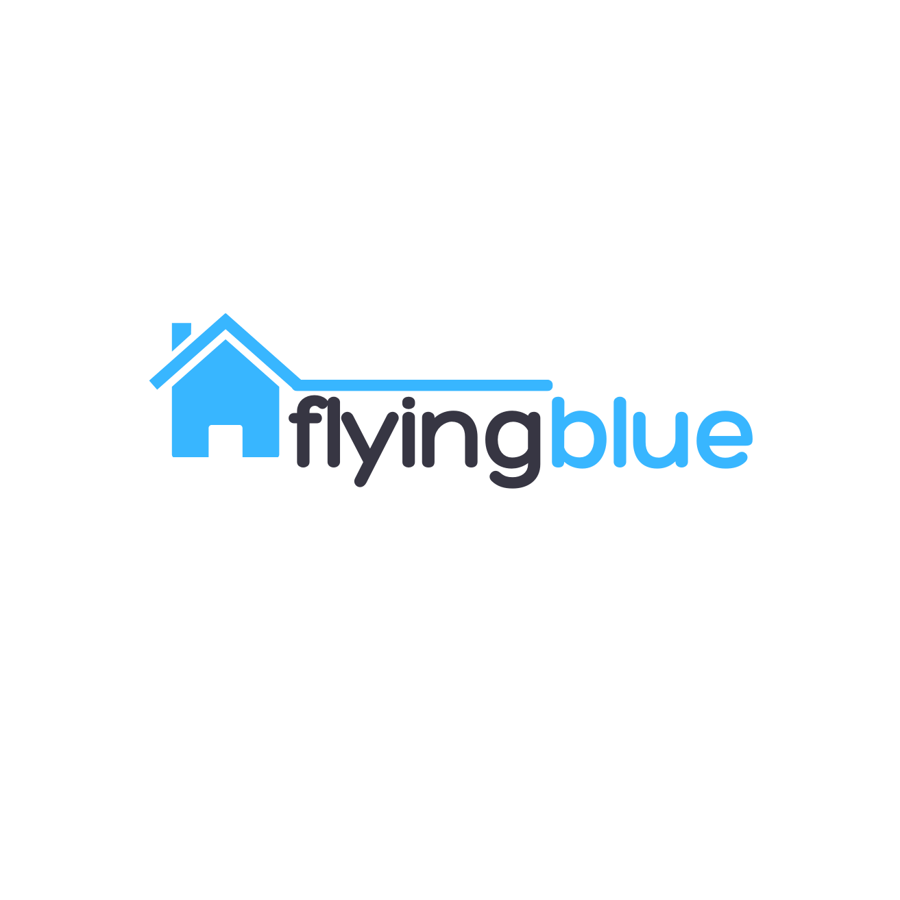 FLYING BLUE CONSULT