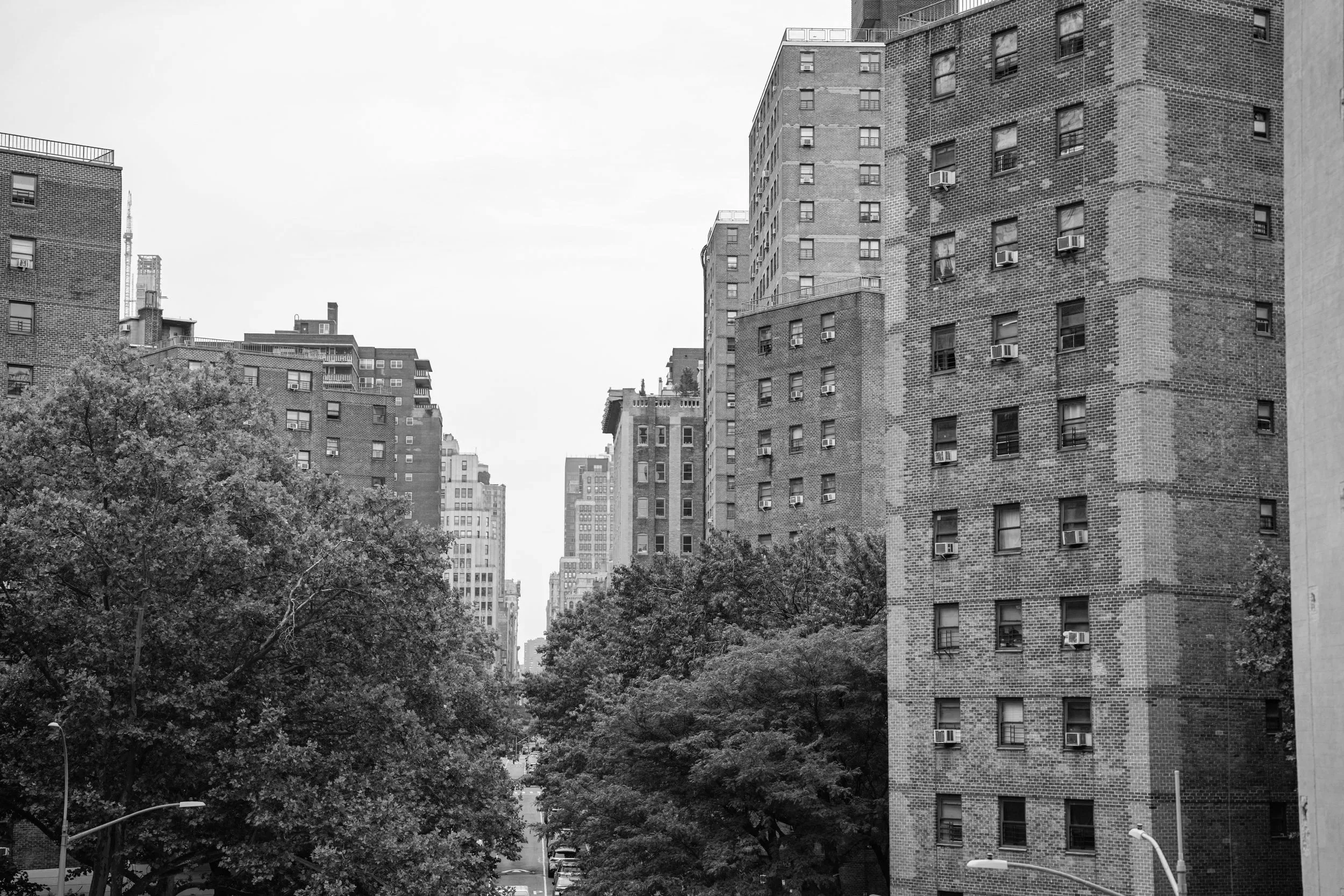 Black-and-white photo of tall apartment buildings with trees in front, in an urban cityscape.
