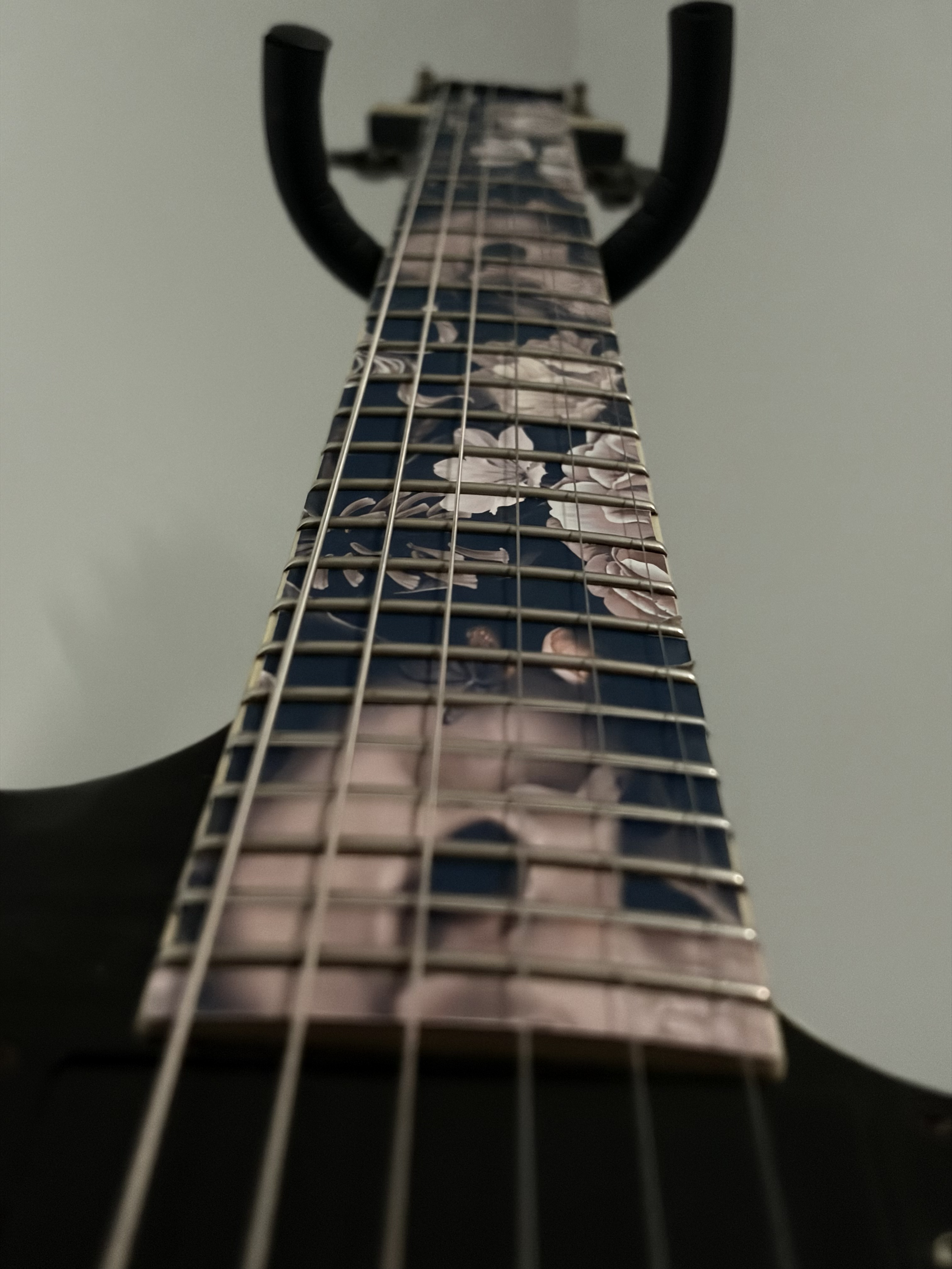 IMG_0845.png