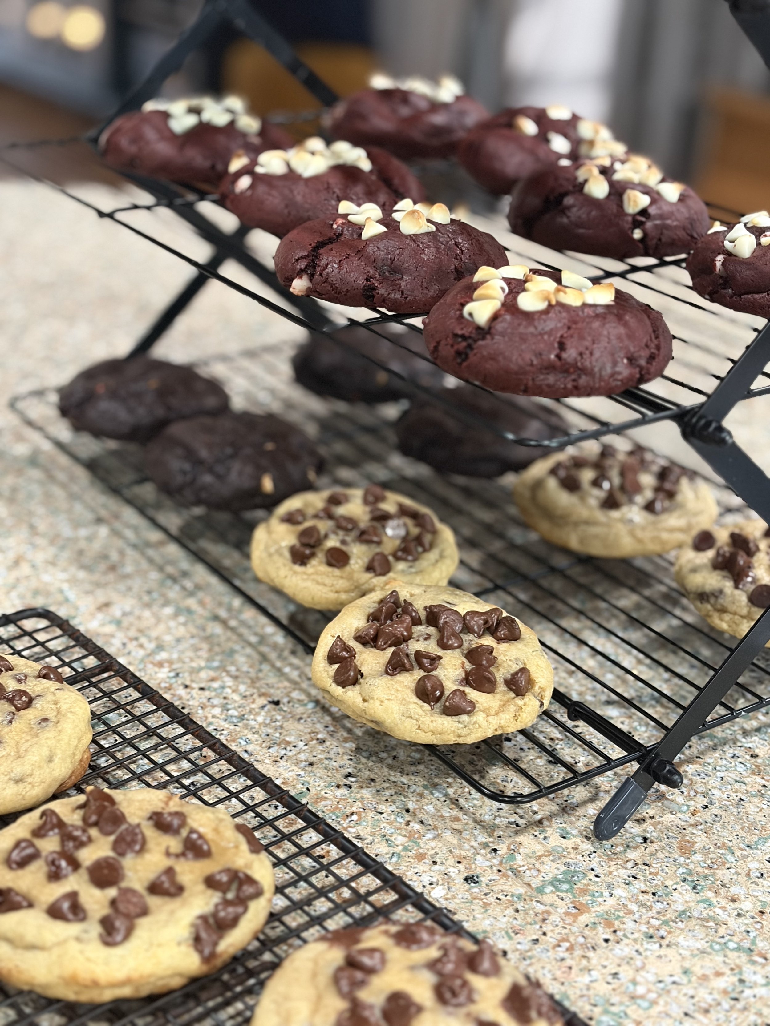 Build Your Own Bakery Dozen