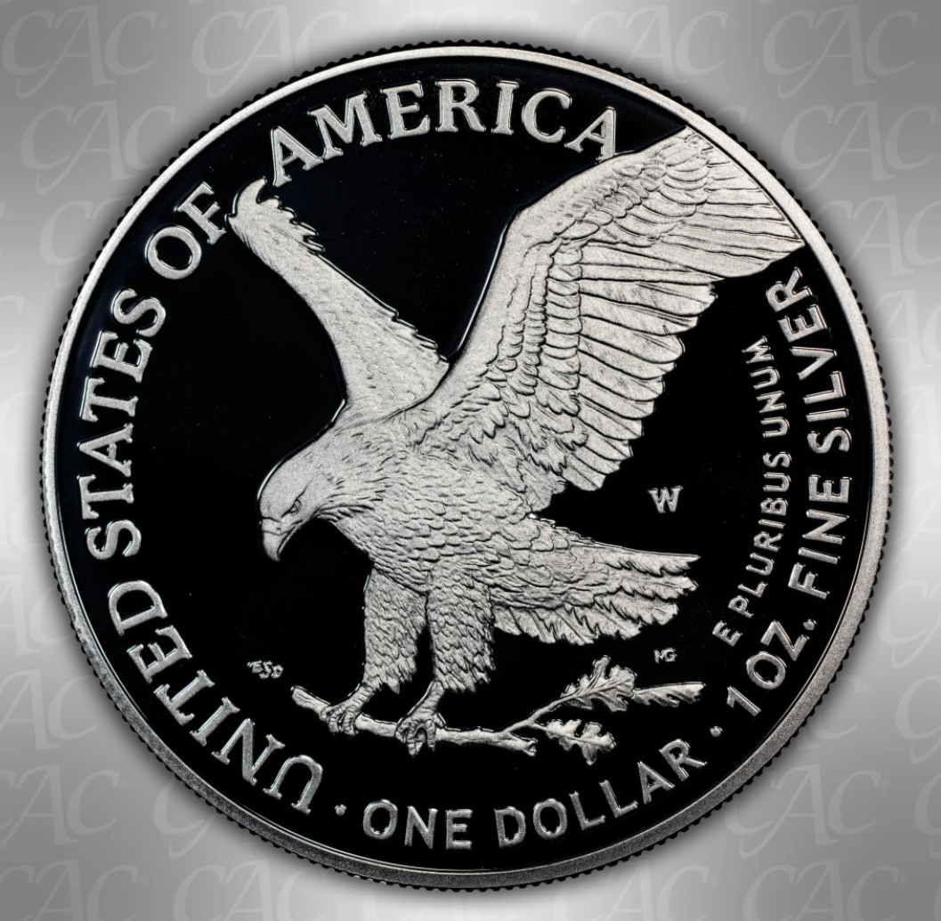 Screenshot 2026-03-25 064037.png (Copy)