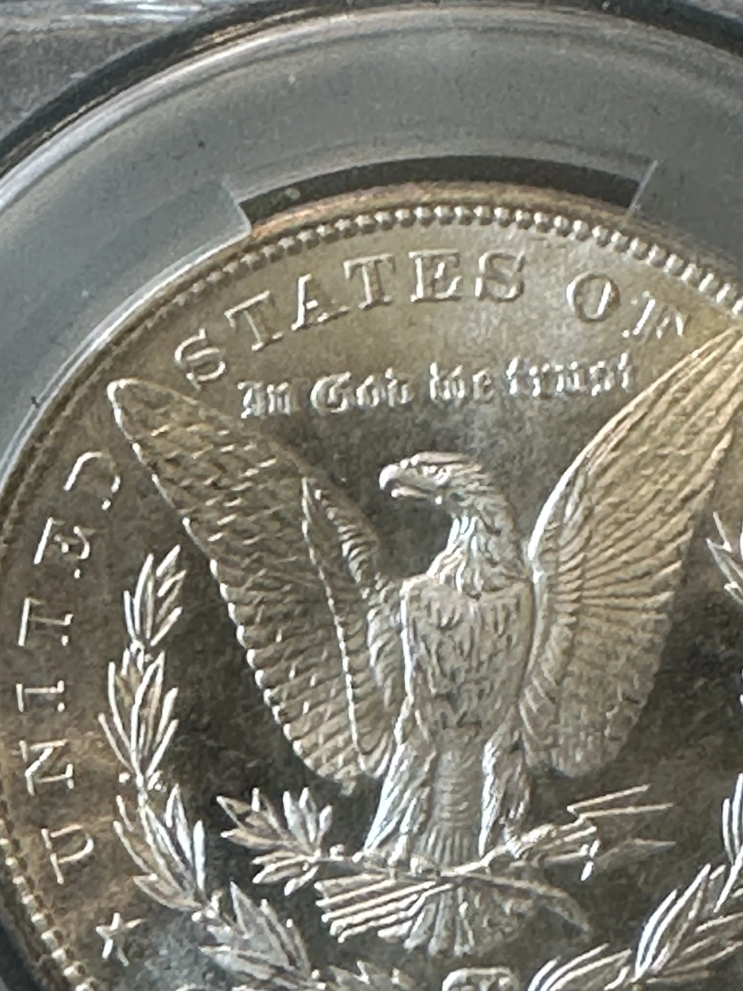 1881-S Morgan CAC MS65 - 9269 - ZOOM Rev.jpeg