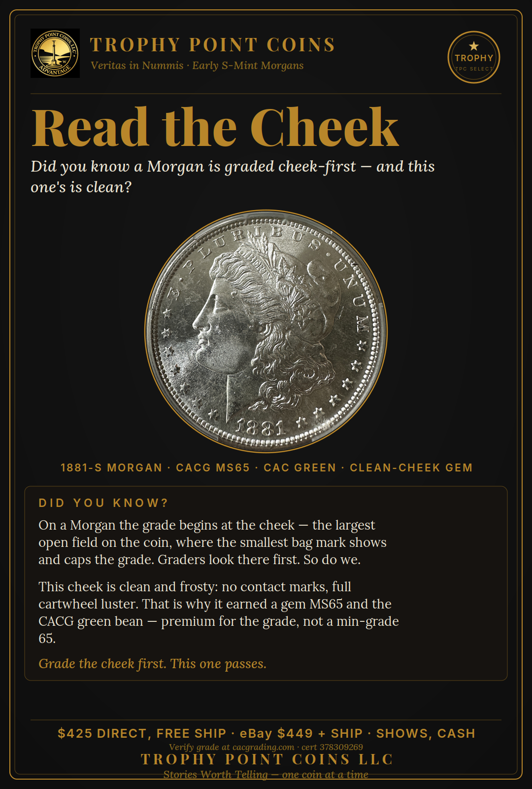 dyk_9269.png