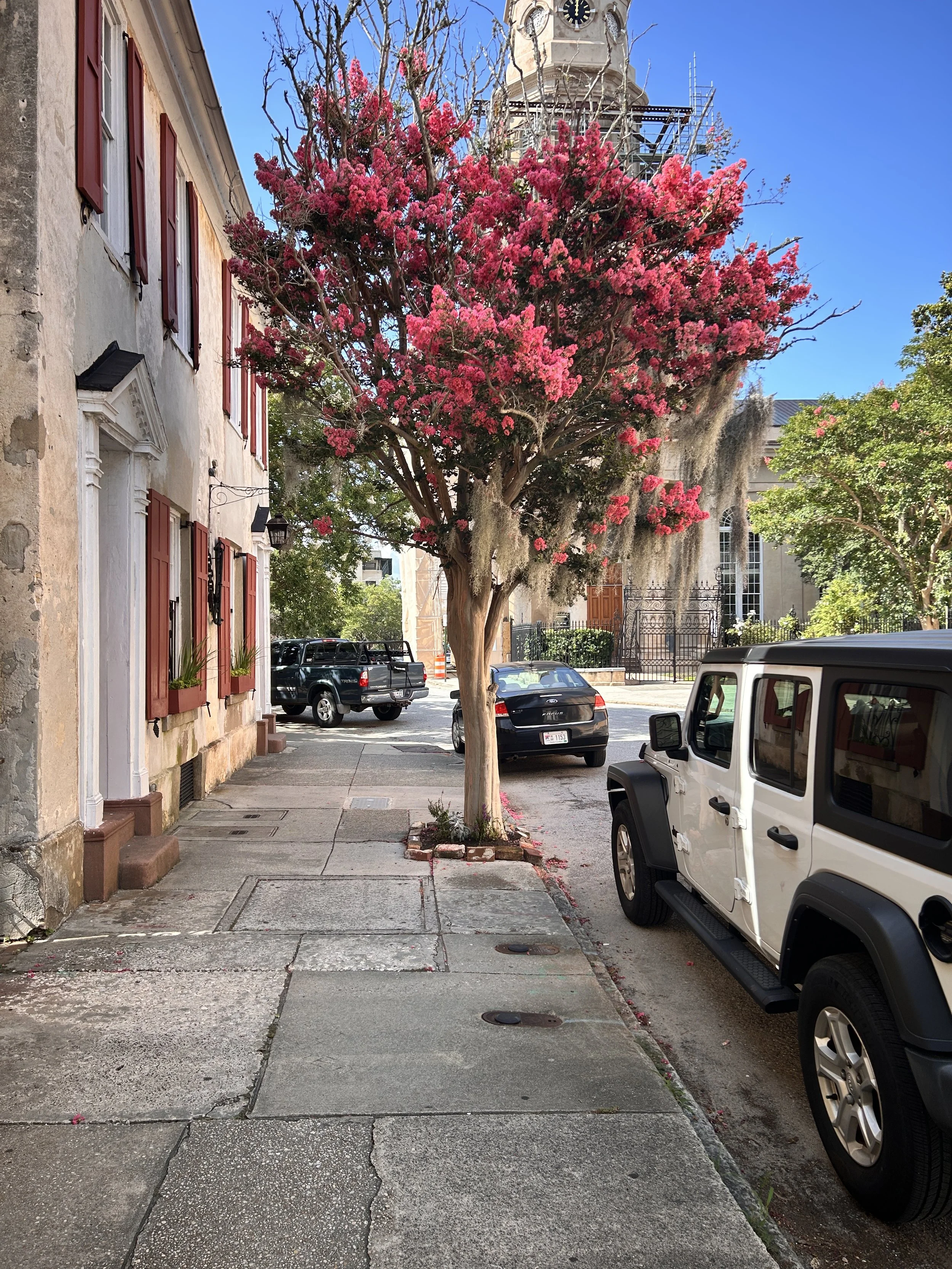 5 Signs You’re Overwhelmed and Need Support Moving Into 2026