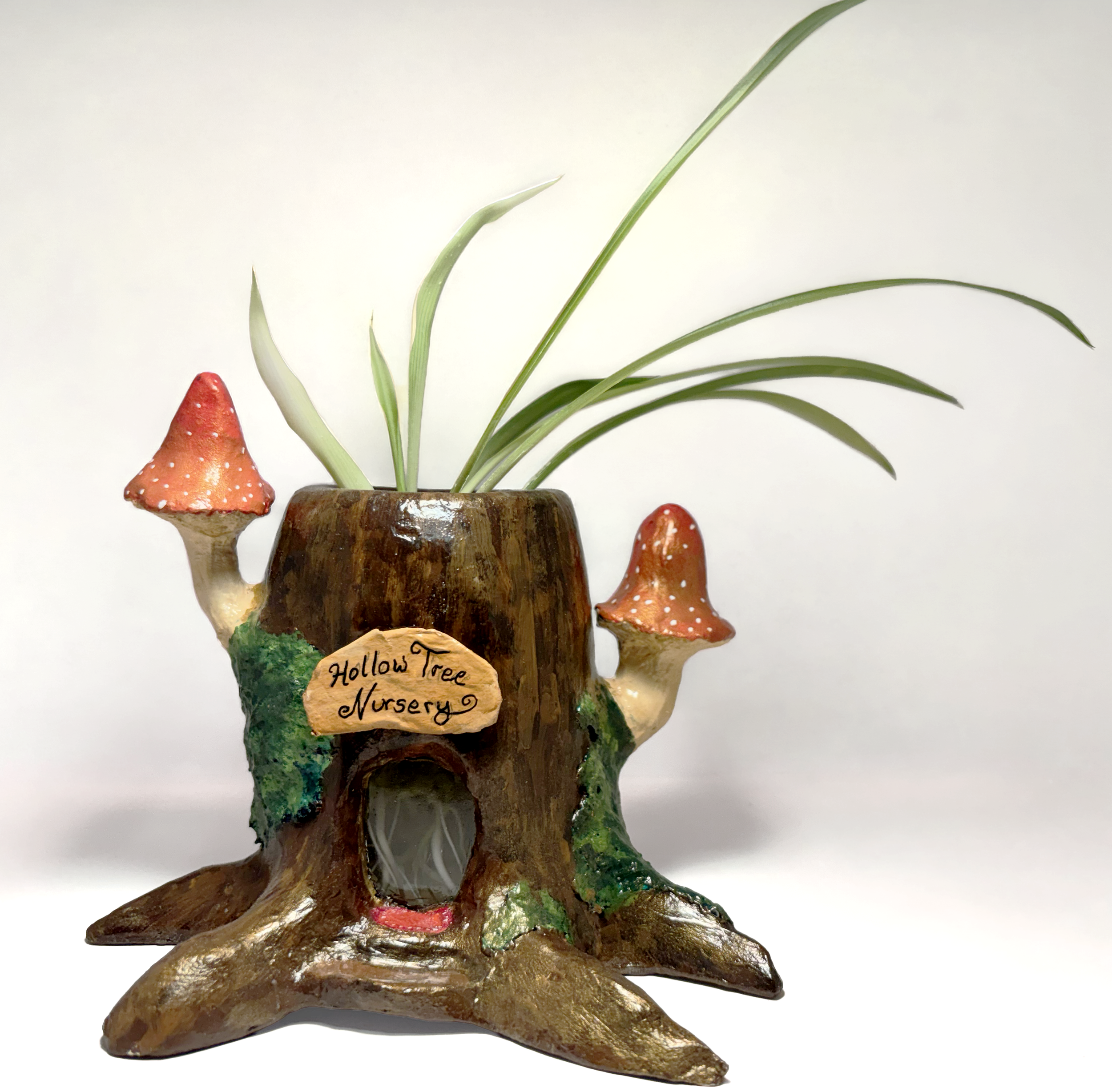 Hollow Tree Nursery Propogation Station