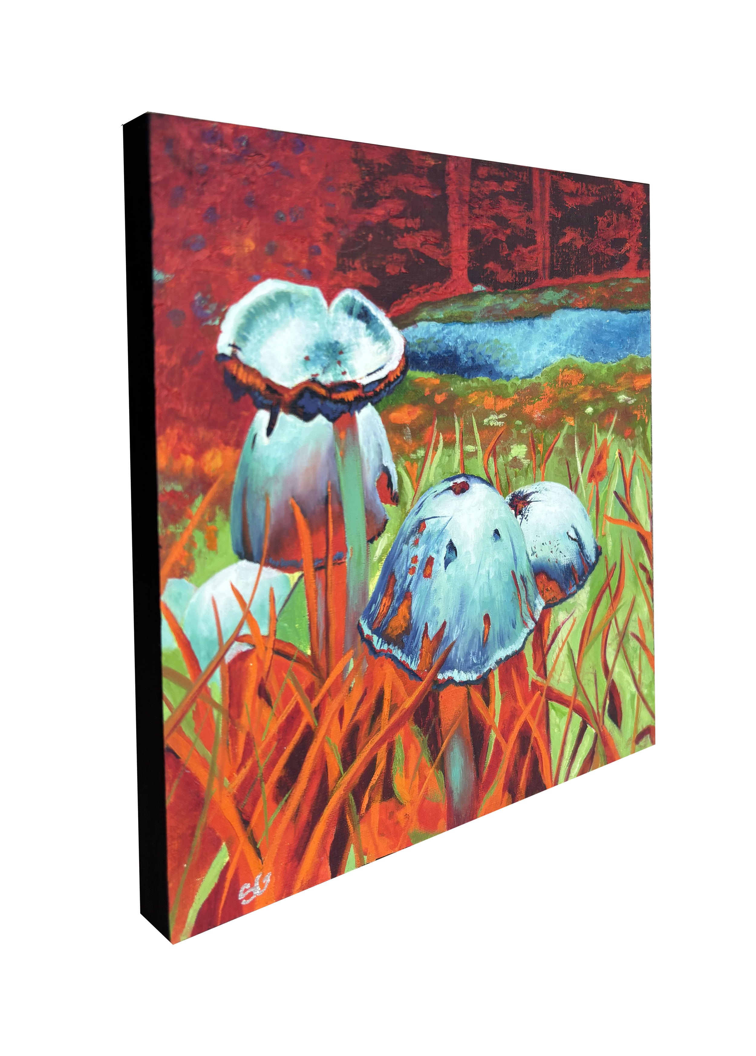 MushroomSideView.png