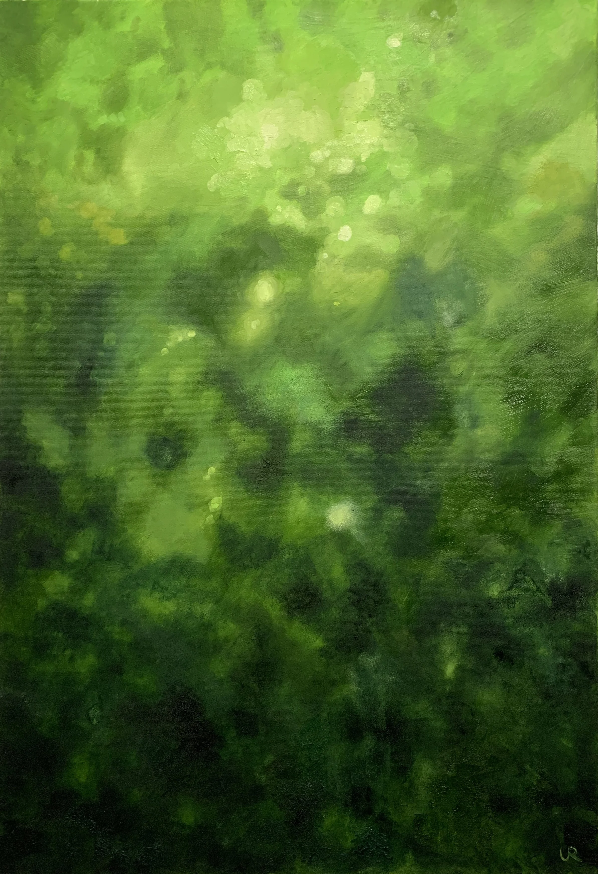 GREEN MEADOW · 60 x 90 cm · Oil on canvas