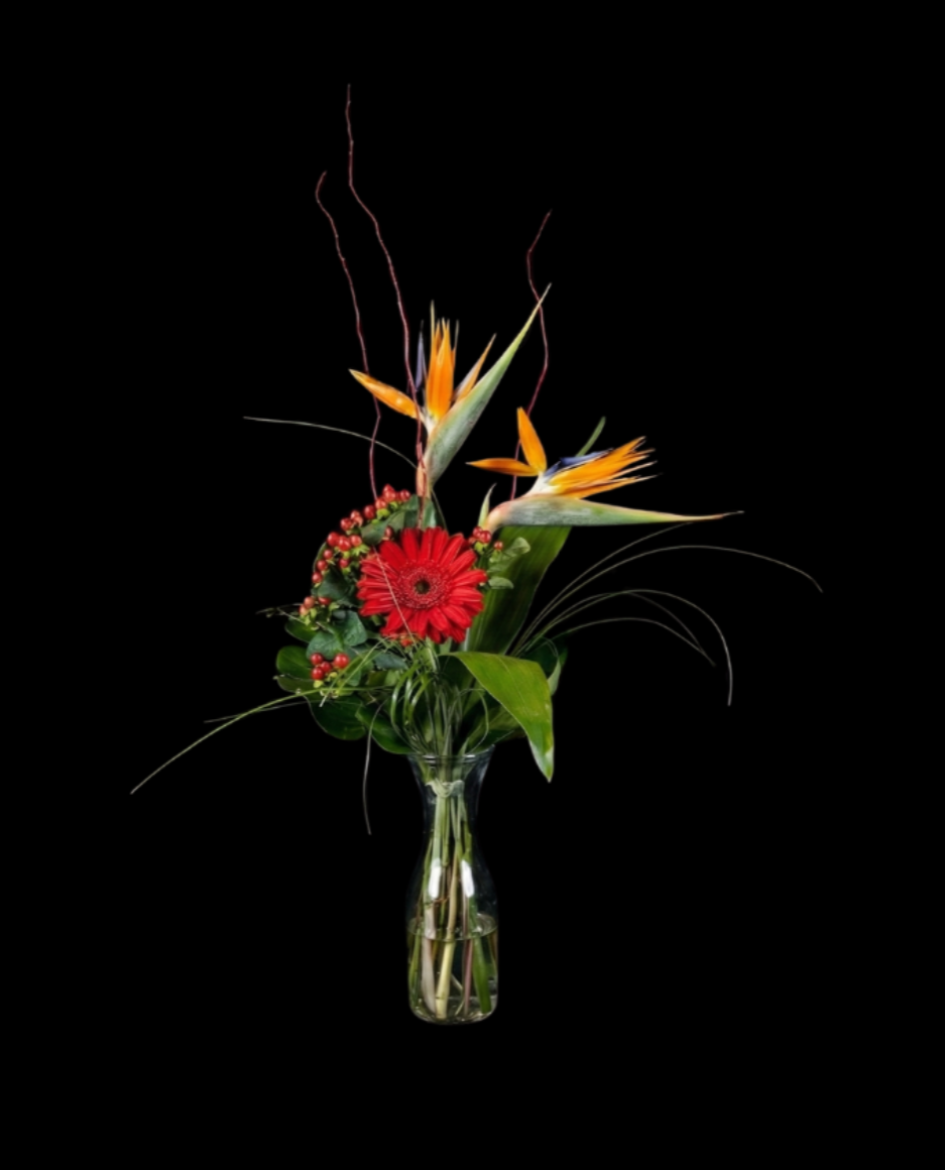 Capture d’écran, le 2026-01-17 à 15.37.17.png