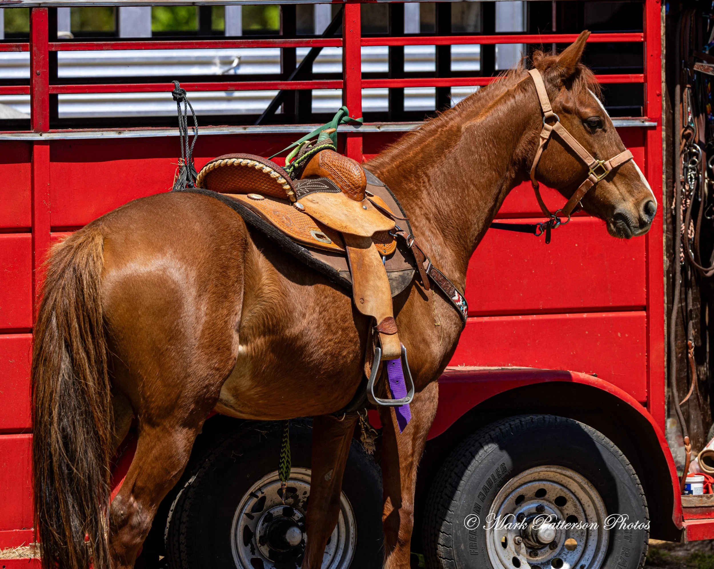 April 11, 2026, a barrel racing team competing at Latigo Farm in Landrum, SC. #1427