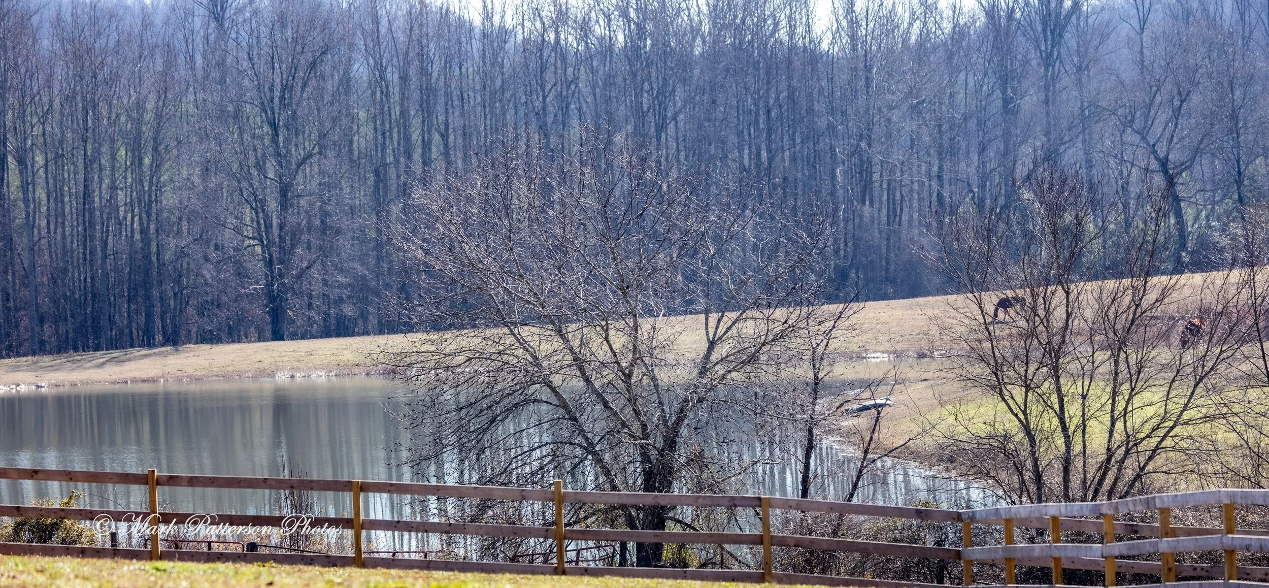 On January 4, 2026, family and friends gathered at the barrel racing event held at Latigo Farm in Landrum, SC. #17371