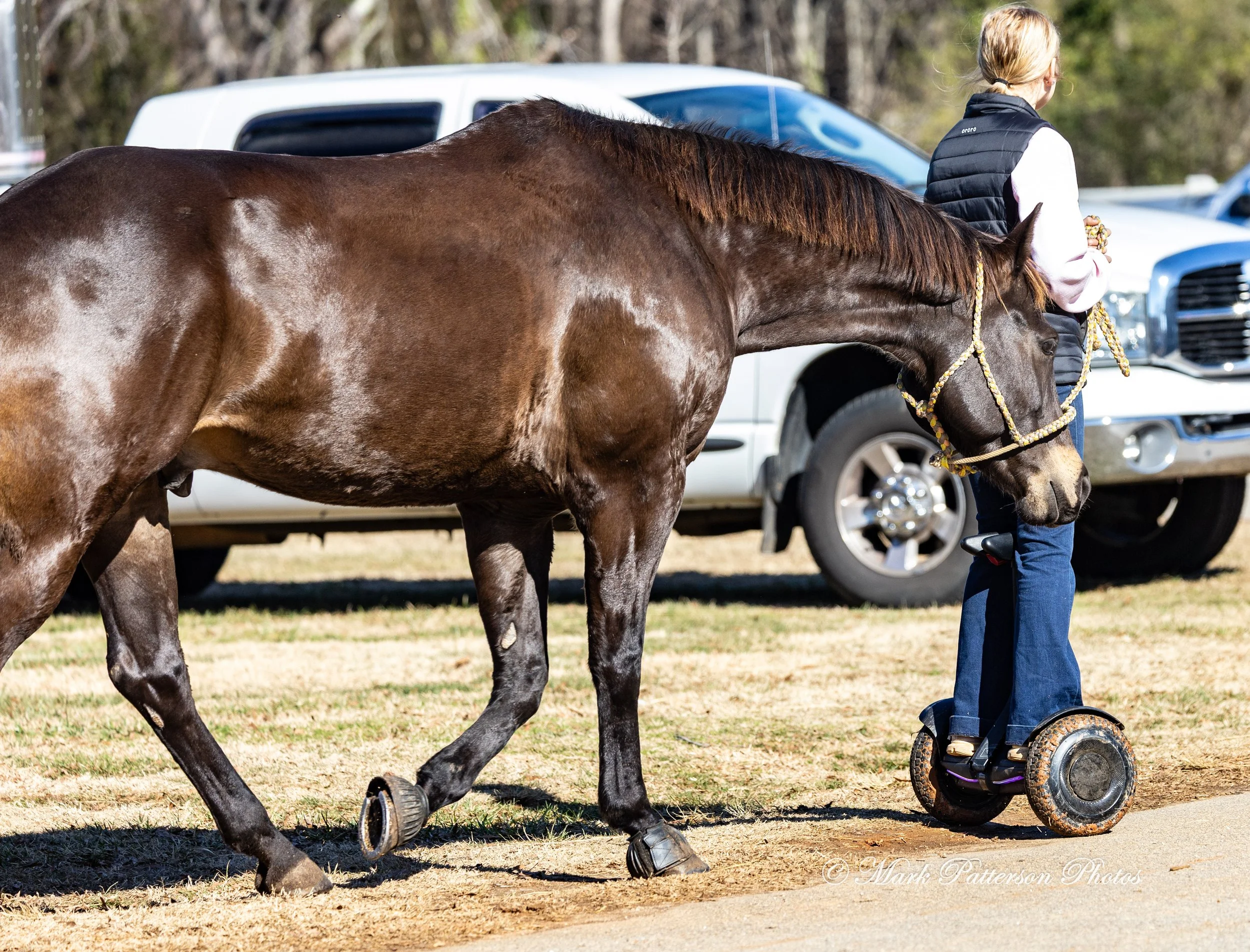 On January 4, 2026, family and friends gathered at the barrel racing event held at Latigo Farm in Landrum, SC. #17364