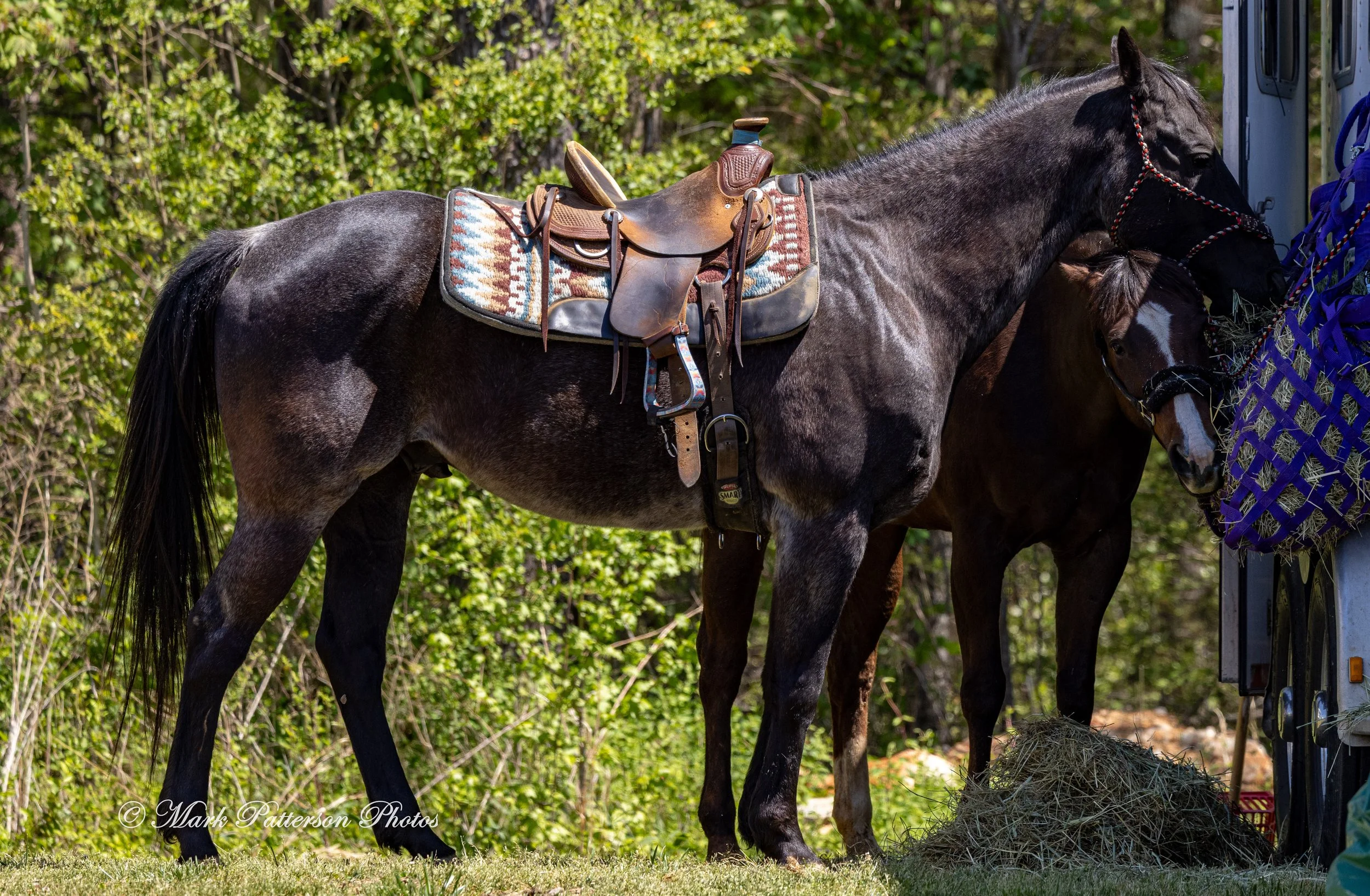 April 11, 2026, a barrel racing team competing at Latigo Farm in Landrum, SC. #1421