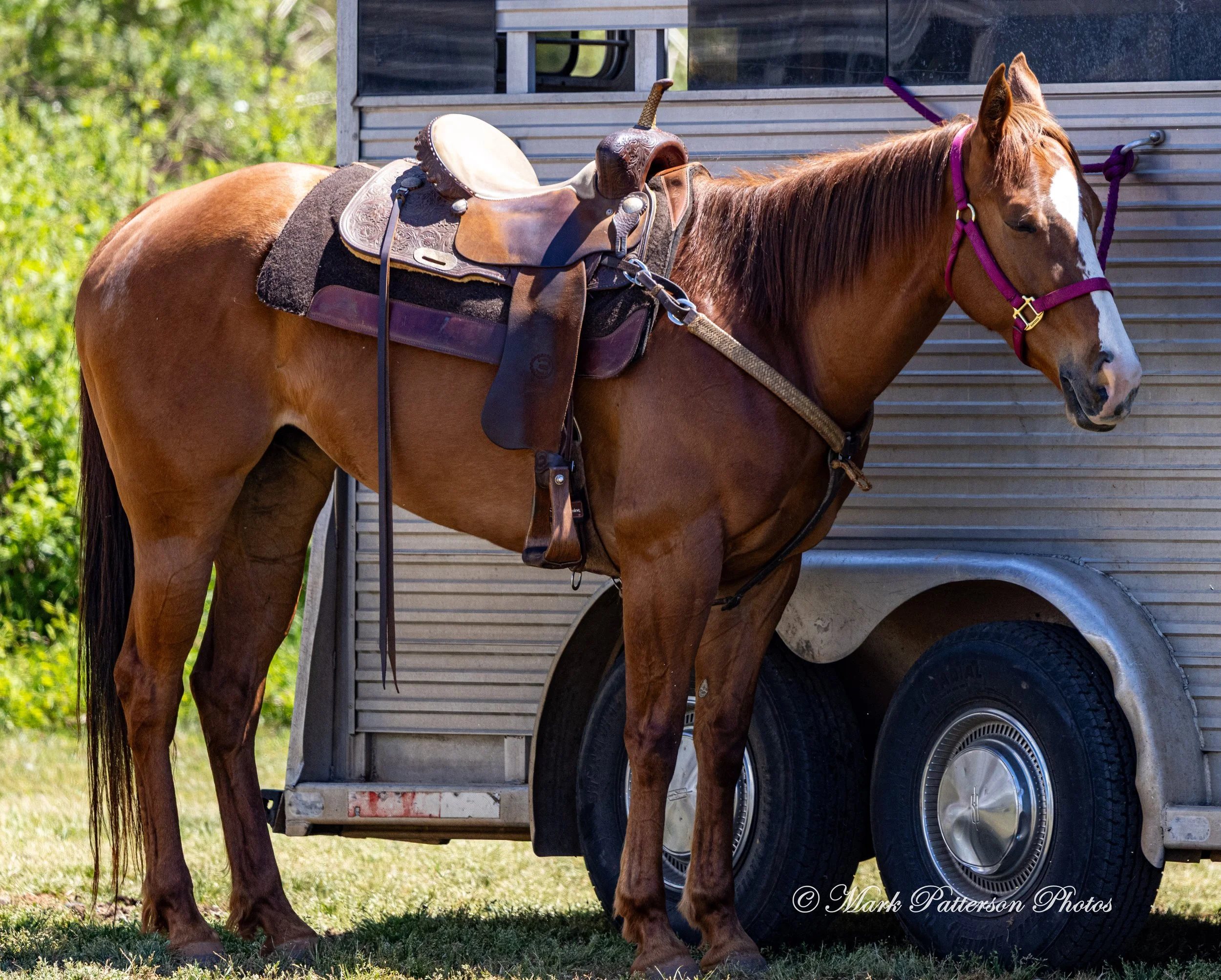 April 11, 2026, a barrel racing team competing at Latigo Farm in Landrum, SC. #1417