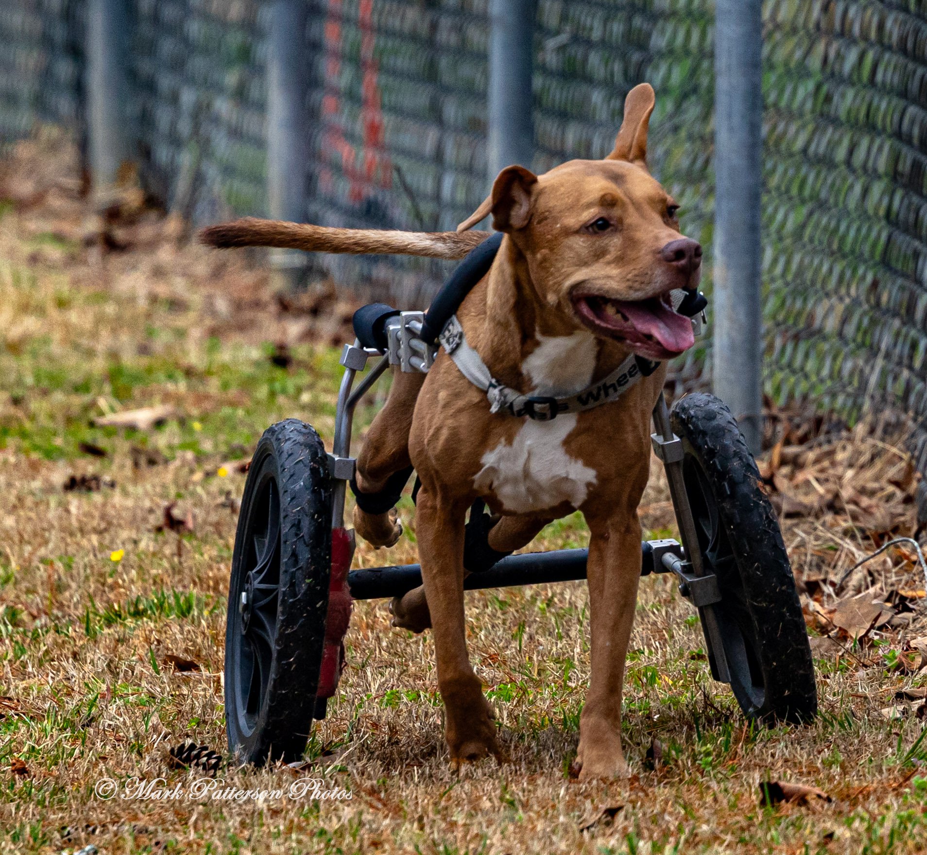Greenville Pioneers vs Upstate Astros March 8, 2026, Pre-Season Tournament at Slater – White Park. #28240