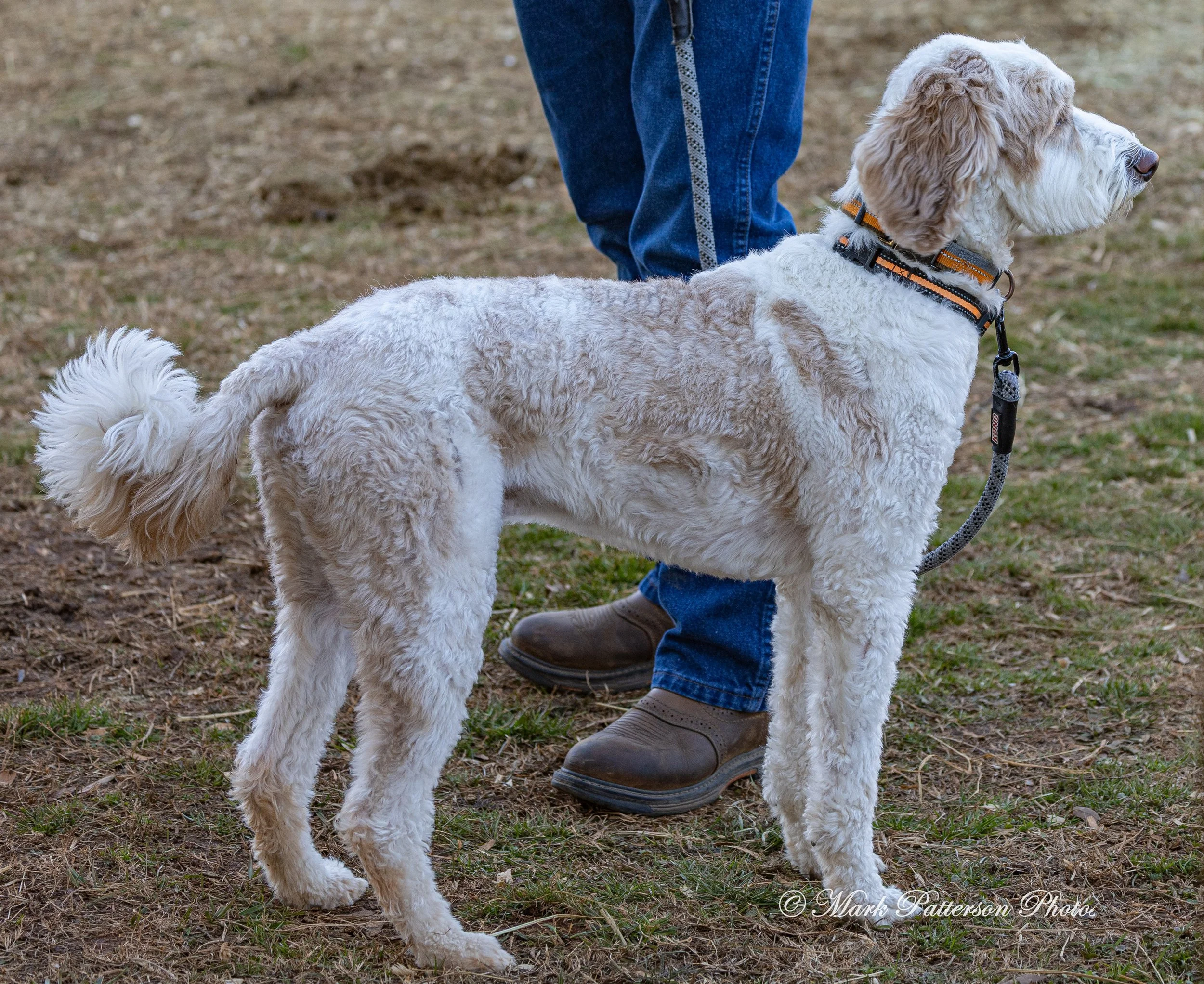 February 8, 2026, a barrel racing team competing at Latigo Farm in Landrum, SC. #22273