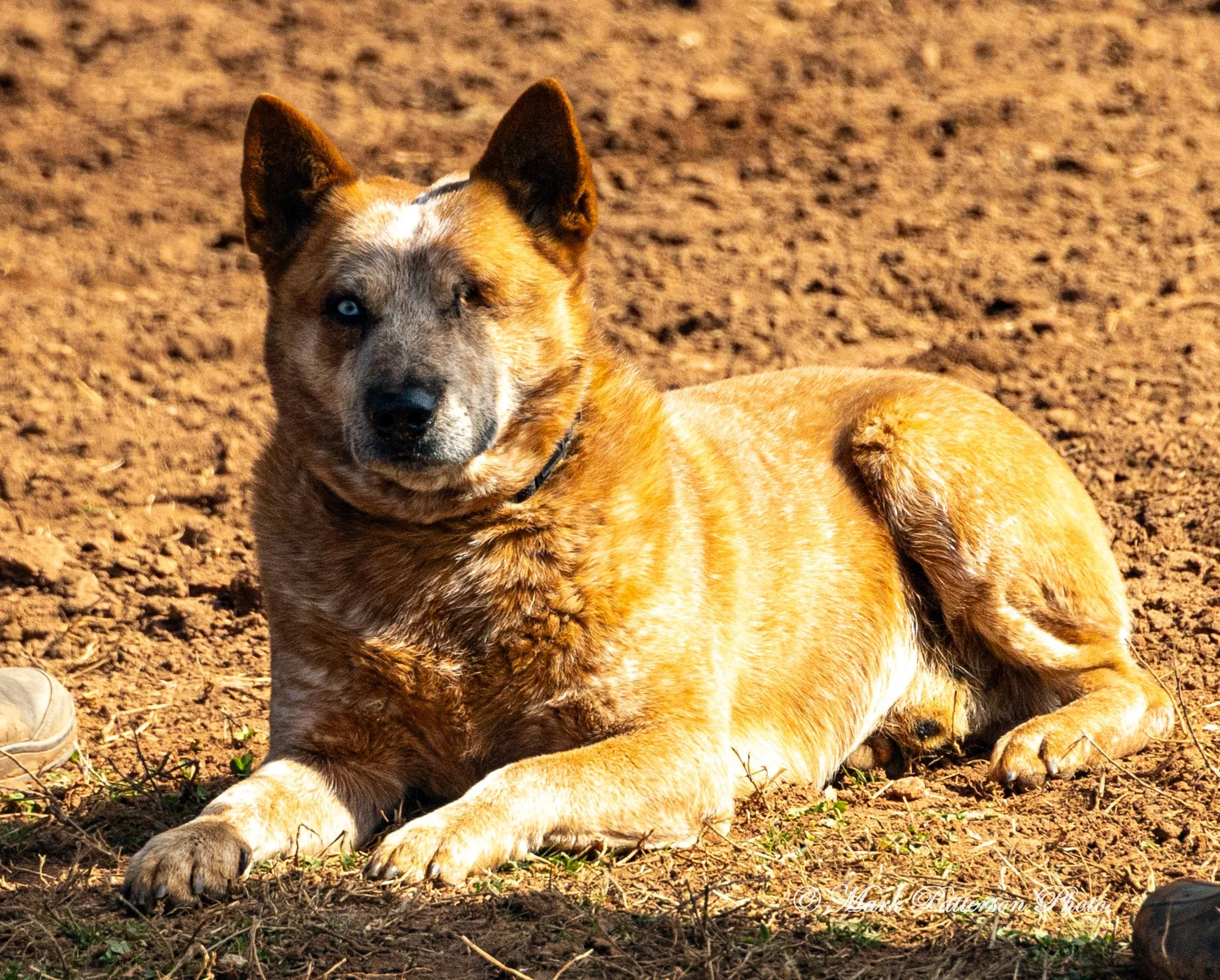 20260208 - Latigo Farm - 20200.JPG