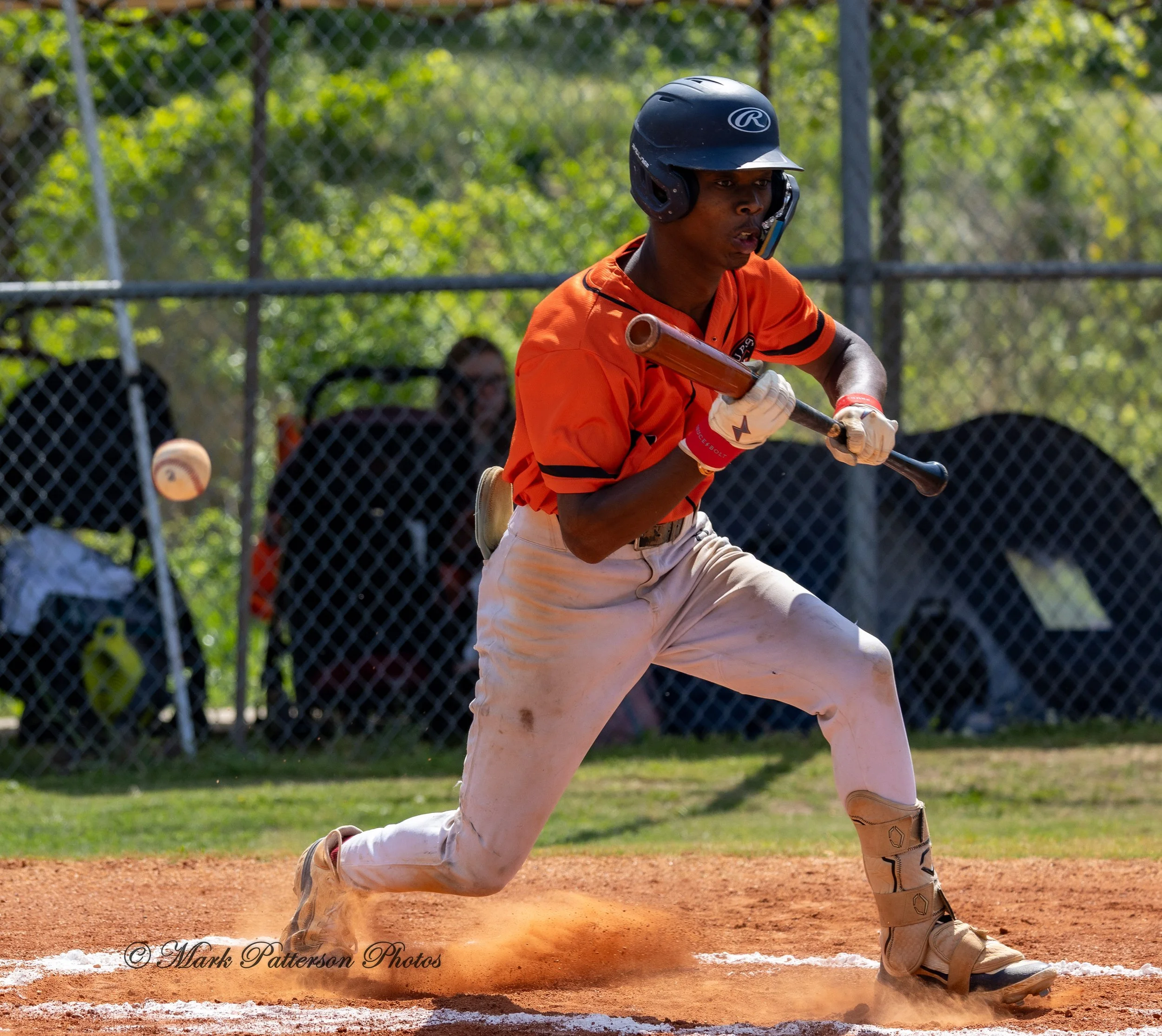 Greenville Pioneers vs Upstate Astros April 12, 2026, at Shoeless Joe Jackson Field. #6443