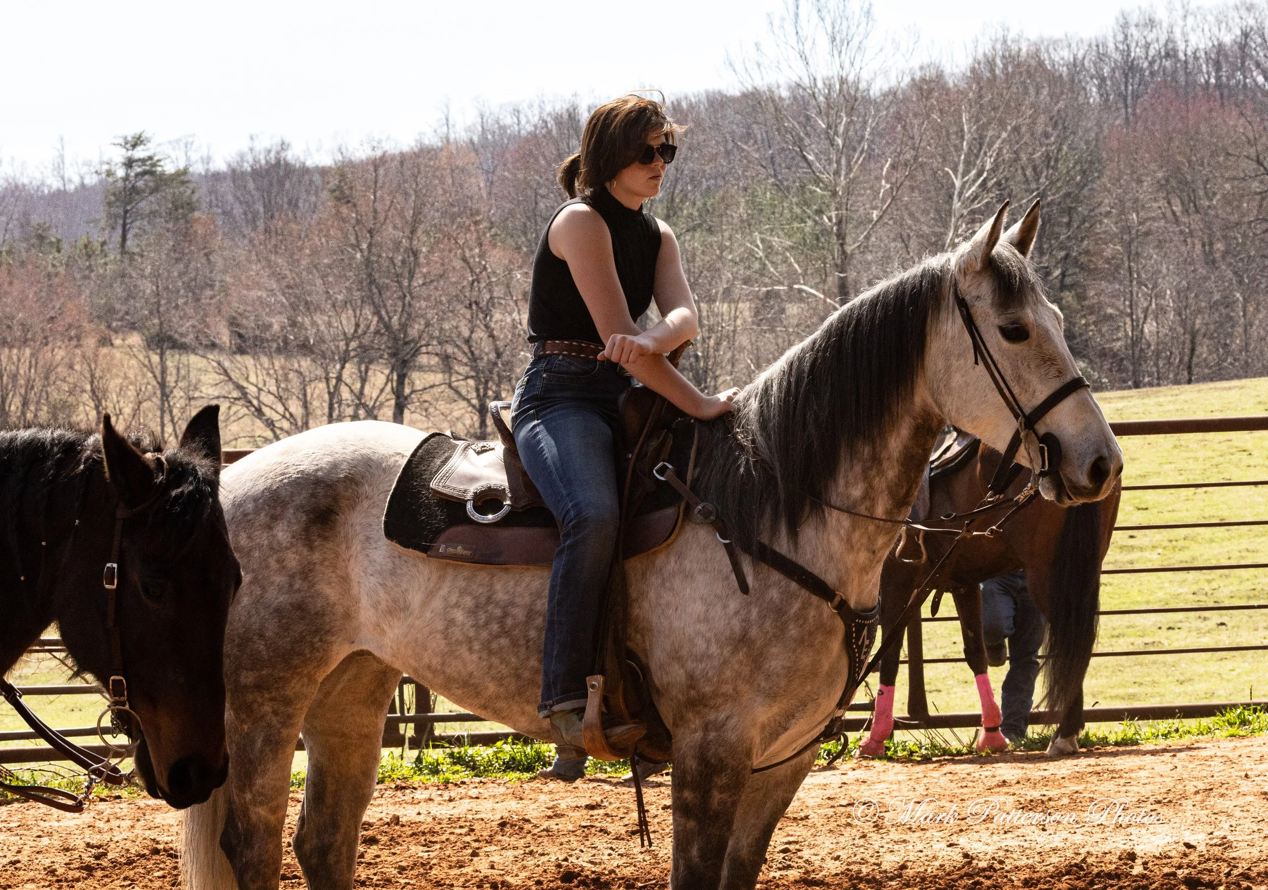 March 1, 2026, just hanging out at Latigo Farm in Landrum, SC. #24645