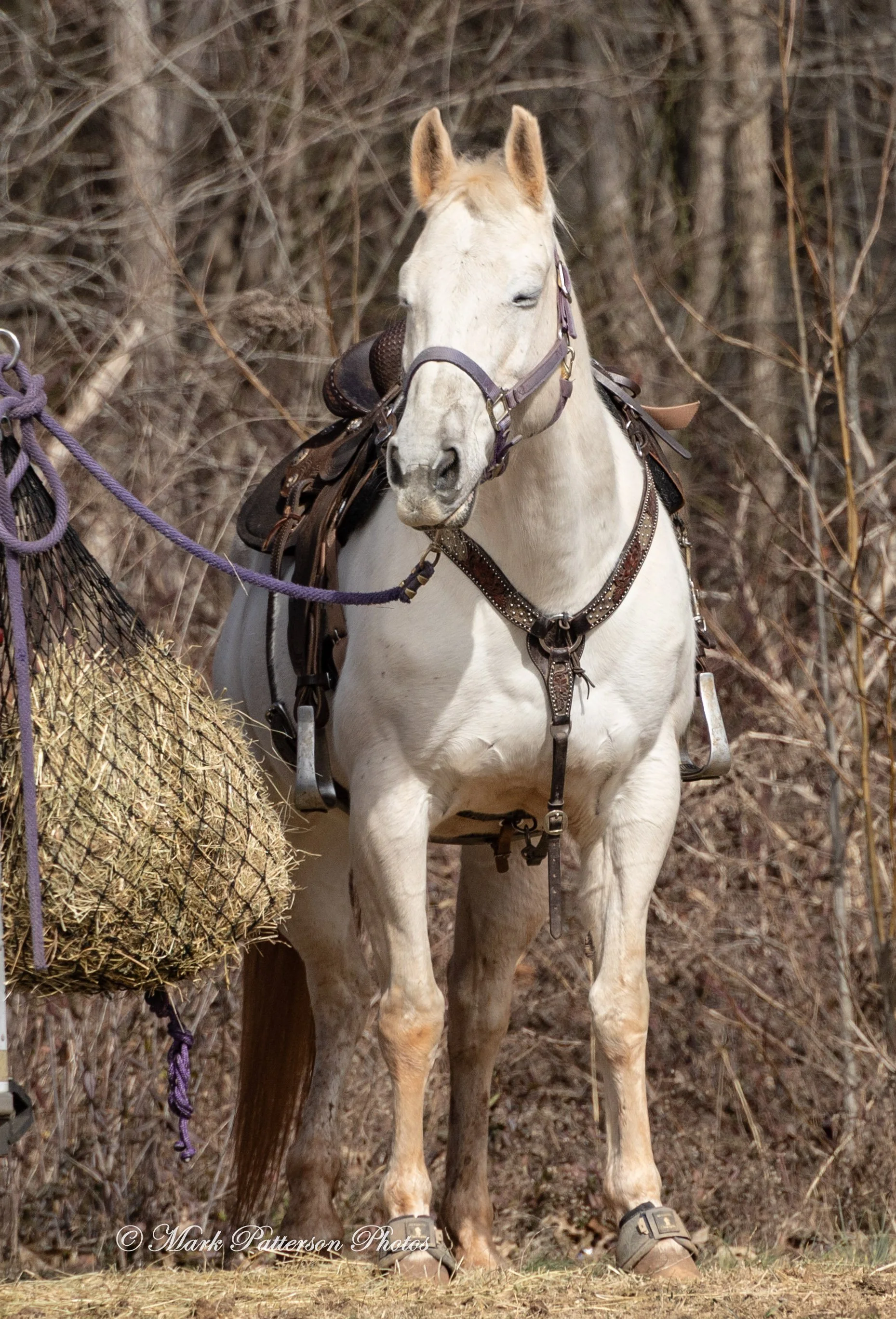 20260208 - Latigo Farm - 20191.JPG