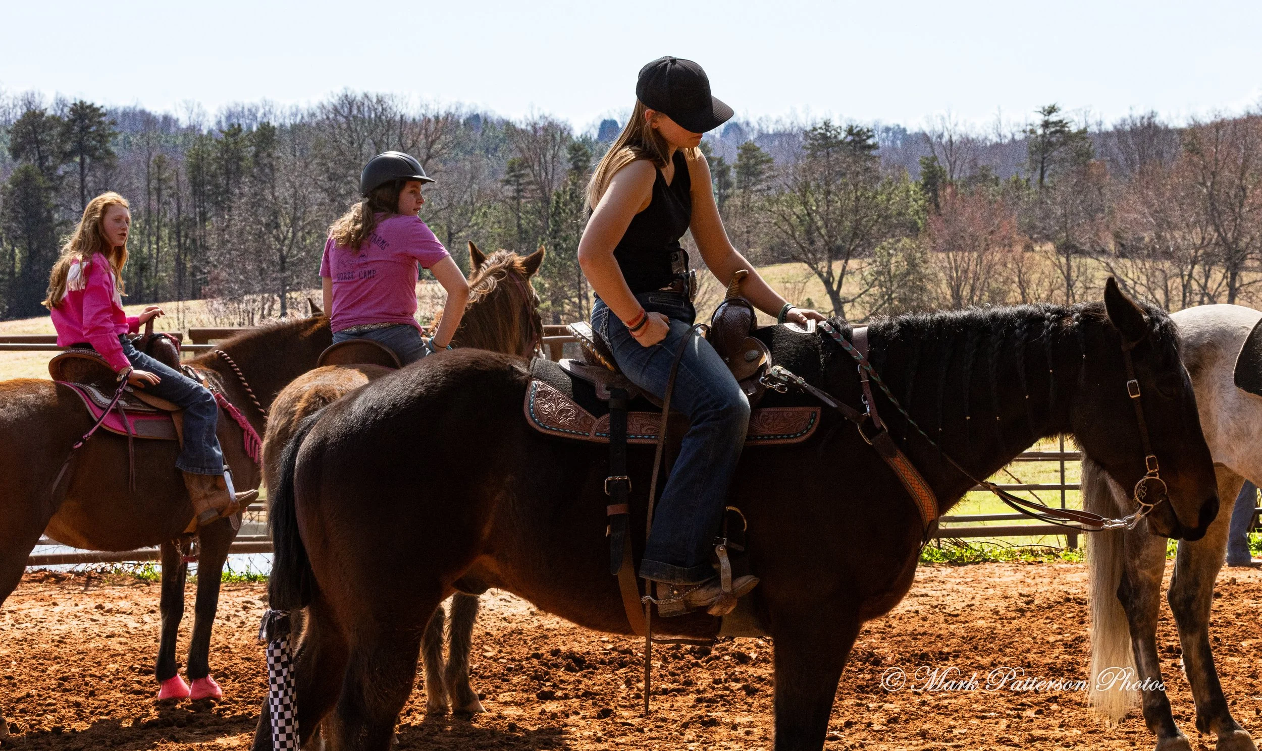 March 1, 2026, just hanging out at Latigo Farm in Landrum, SC. #24646
